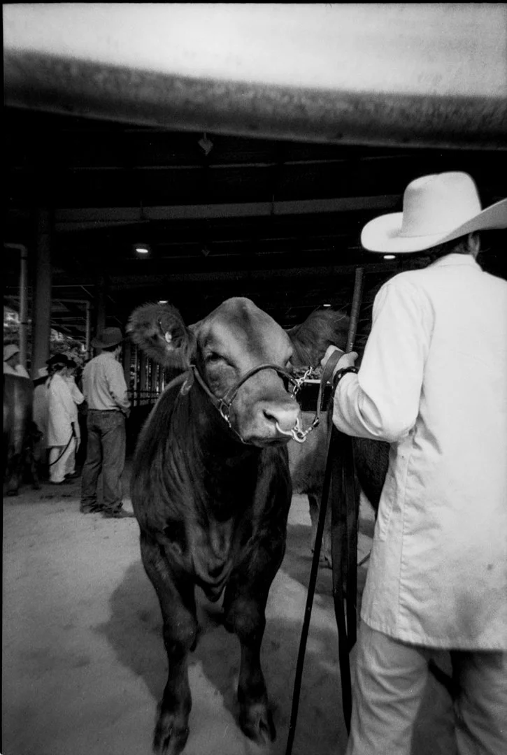 nambour.show.june.2026-8.jpg