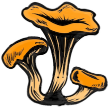 Illustration of three mushrooms with orange caps and black stems.
