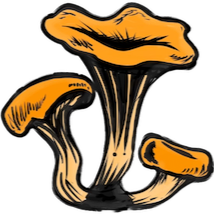A cluster of orange and black mushrooms with wavy caps.