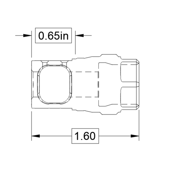 SPB_4.webp