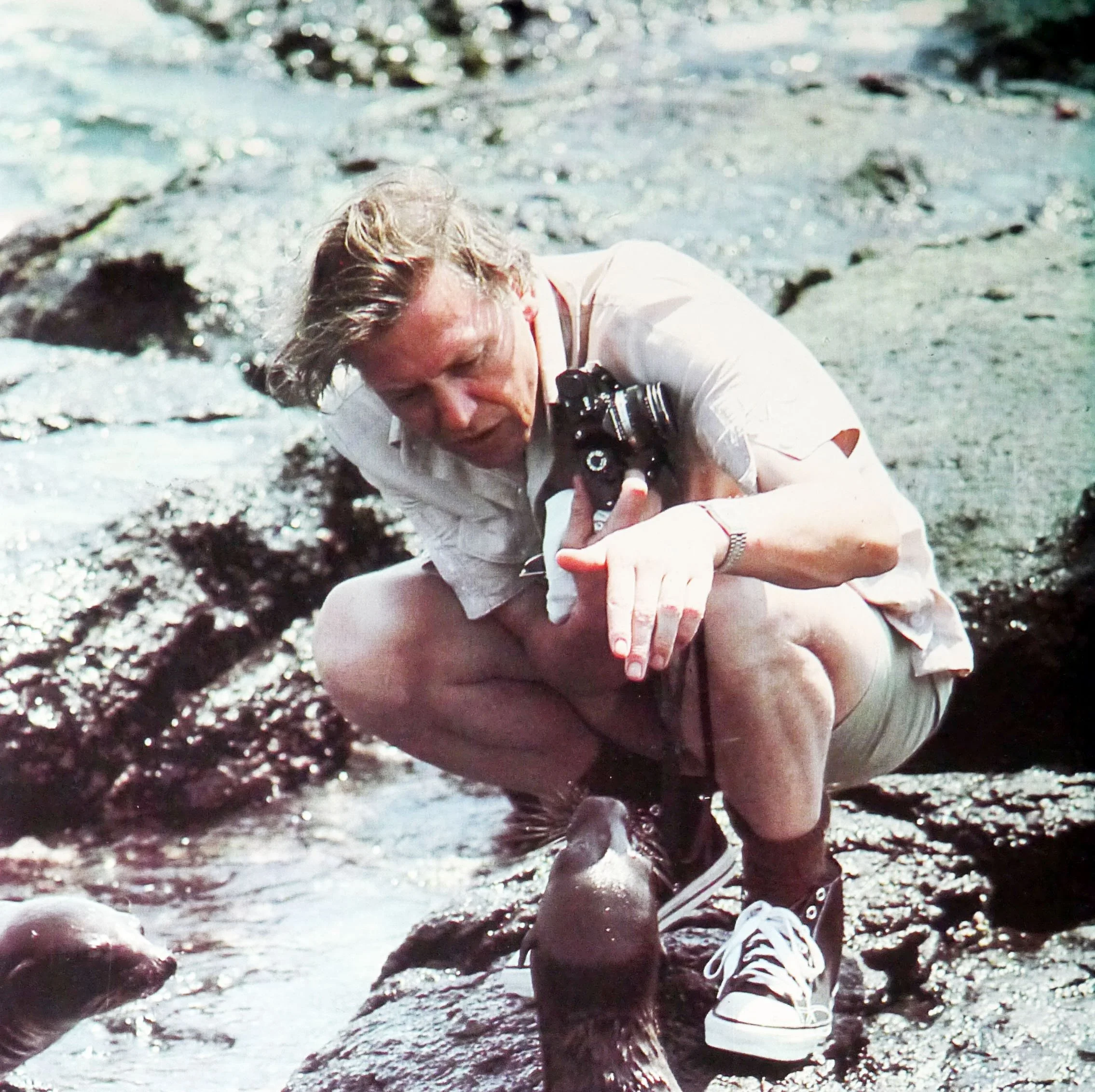 Attenborough, Broadcasting and a Cultural Legacy