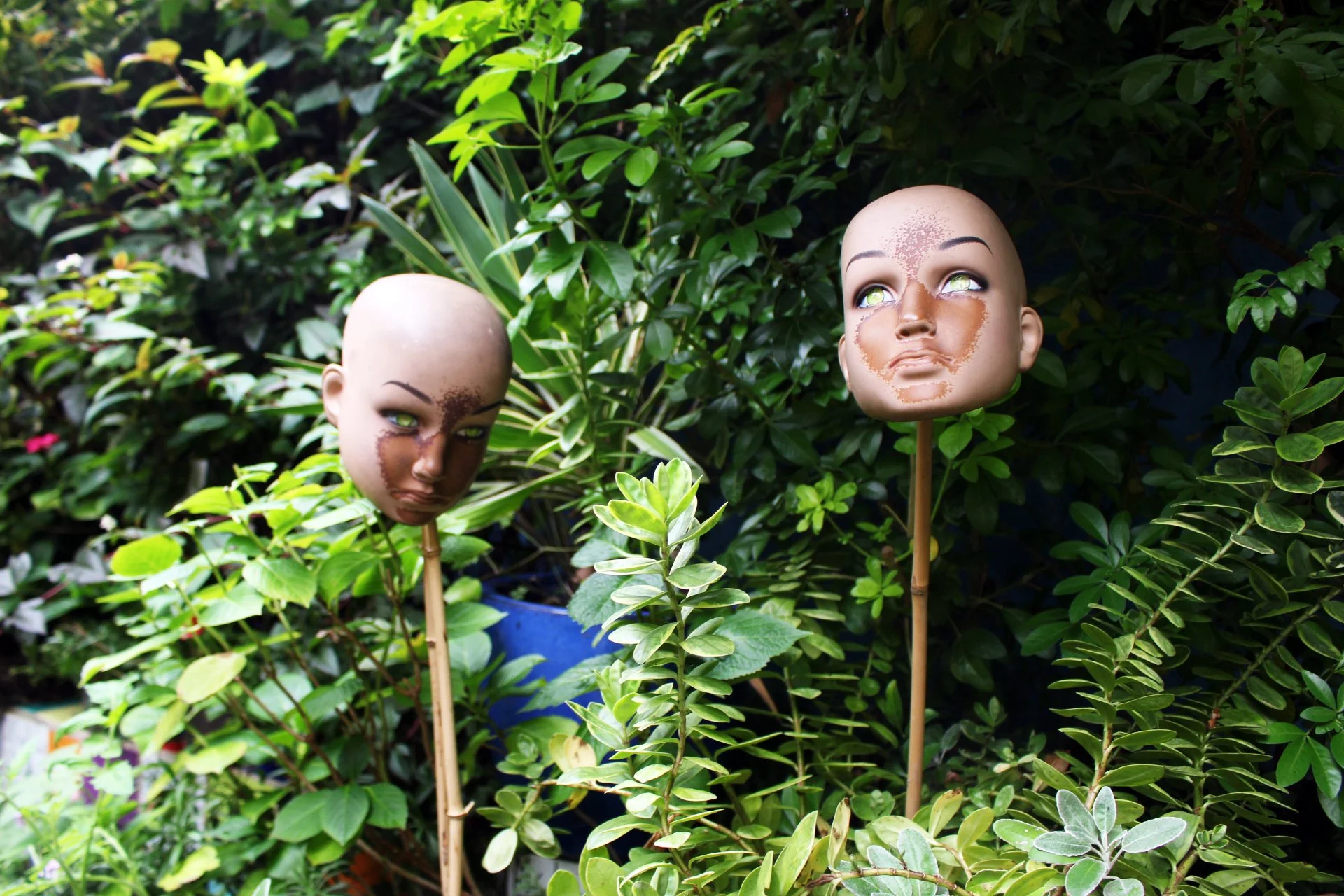 head green garden.jpg