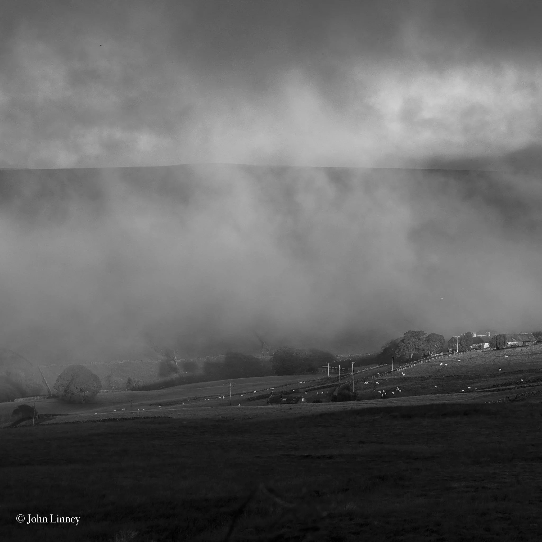 Black and white landscape with fog, rolling hills, trees, sheep, and a distant farmhouse under cloudy skies.