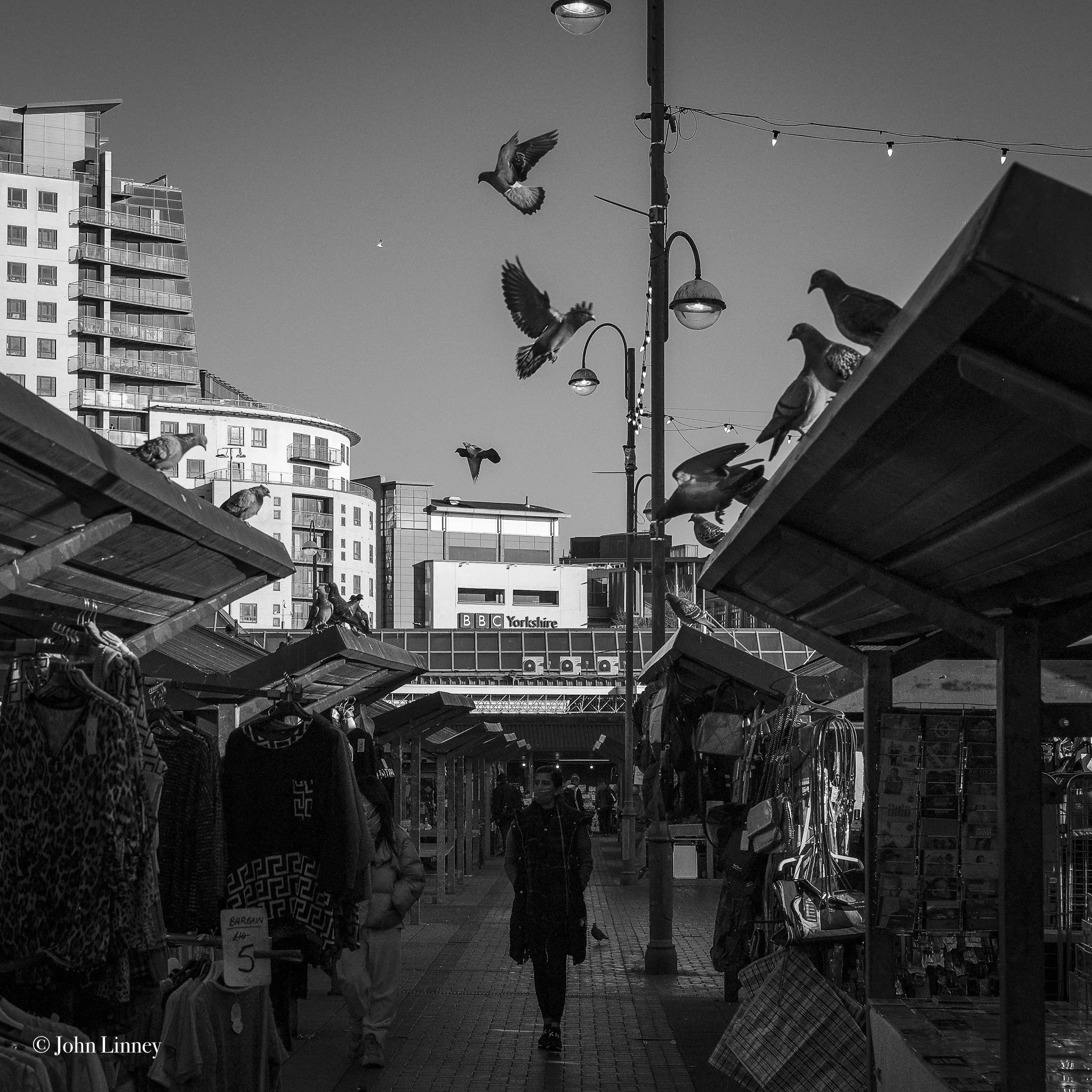 Black and white photo of an outdoor market with pigeons flying and perched on stalls. People walk down the aisle lined with vendor booths. Tall buildings are visible in the background.