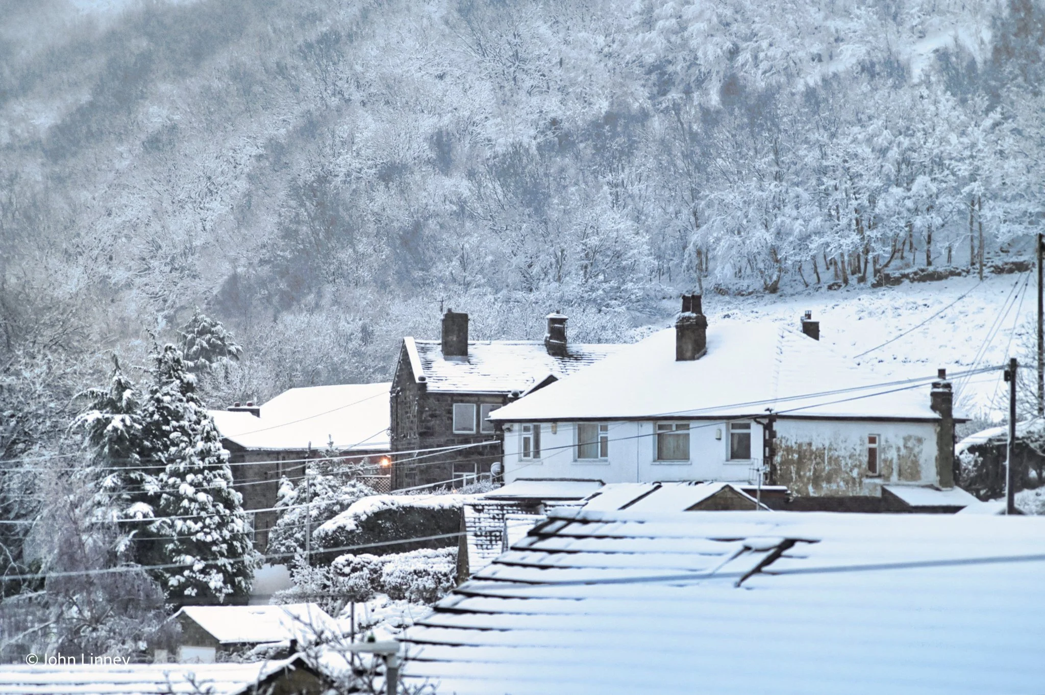 Snow-covered houses in a rural area with snowy trees and hills in the background.