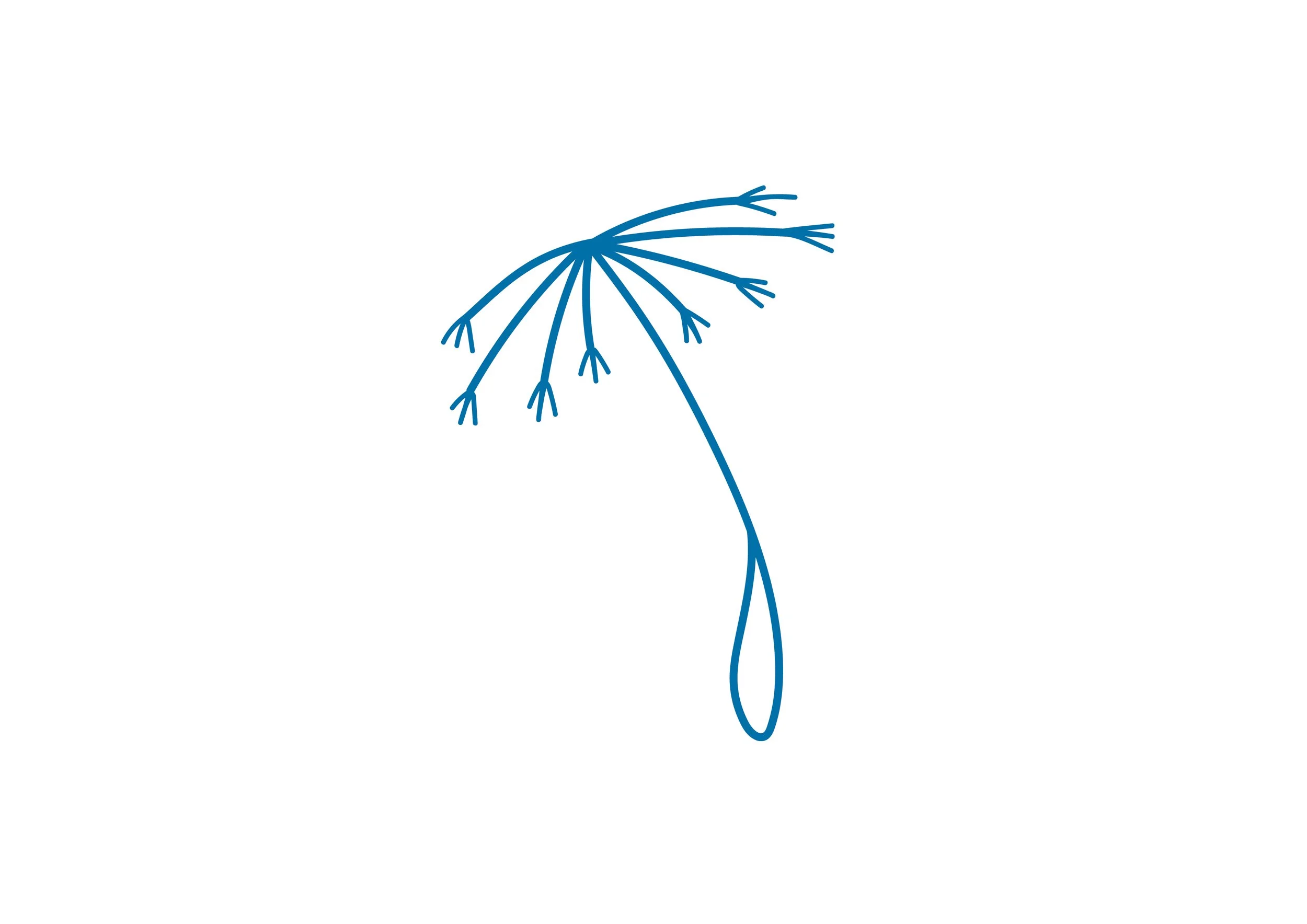 Ismerd fel magadban az ERDEIFENYŐ eszenciát! - Önelfogadás bűntudat helyett