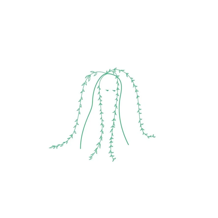 Ismerd fel magadban a FŰZFA eszenciát! - a sérelmek, neheztelés, önsajnálat oldására