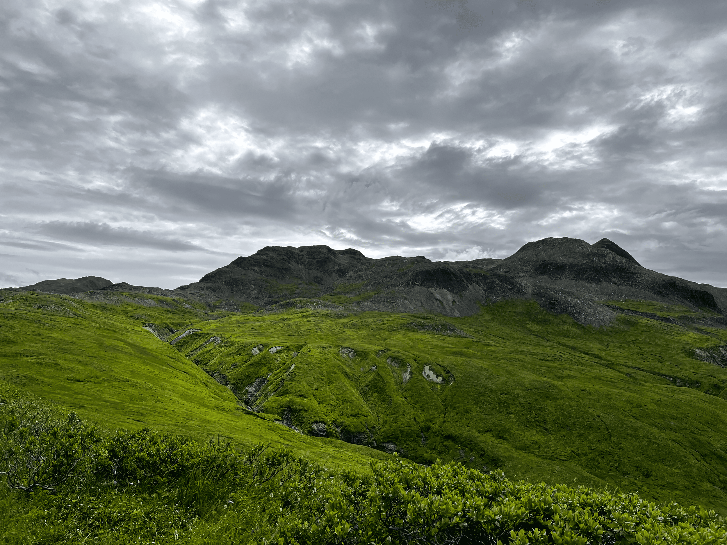 IMG_2683-Edit.png
