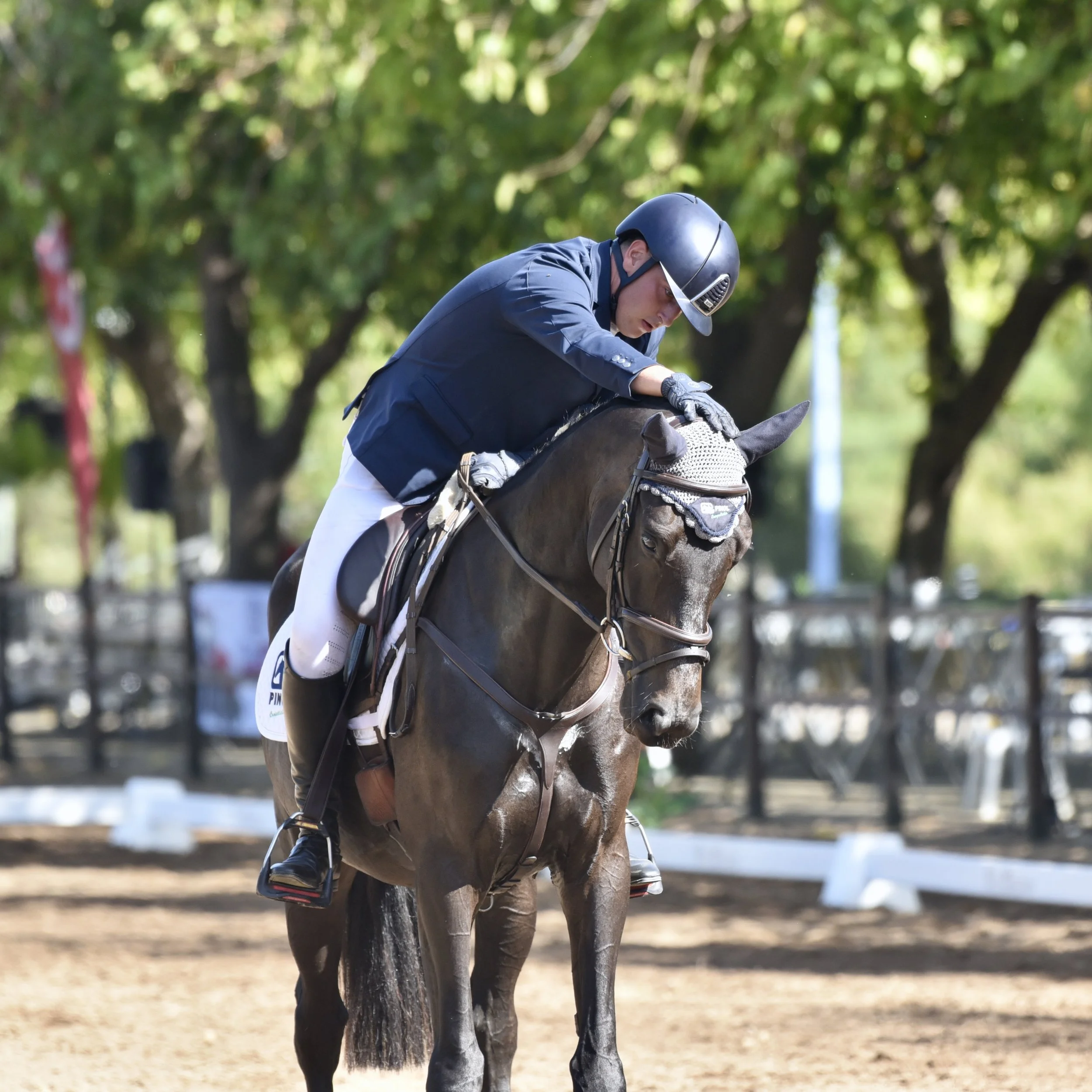 Sevilla 2024: el triunfo de los caballos polacos de Finca Epona