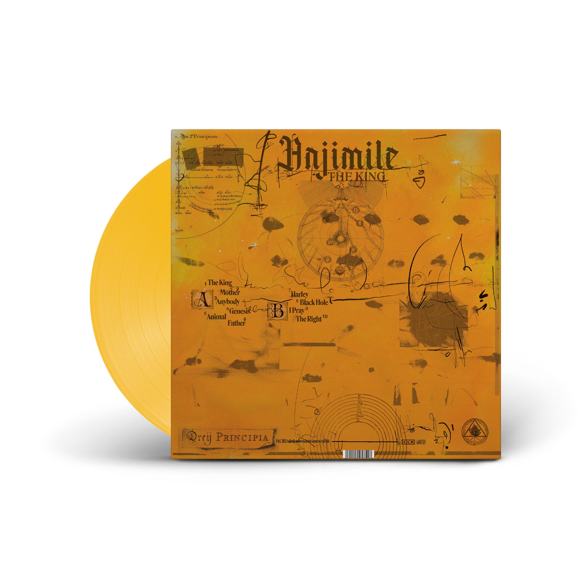 Anjimile_TheKing_1x1_LP_(back)_yellow.jpg
