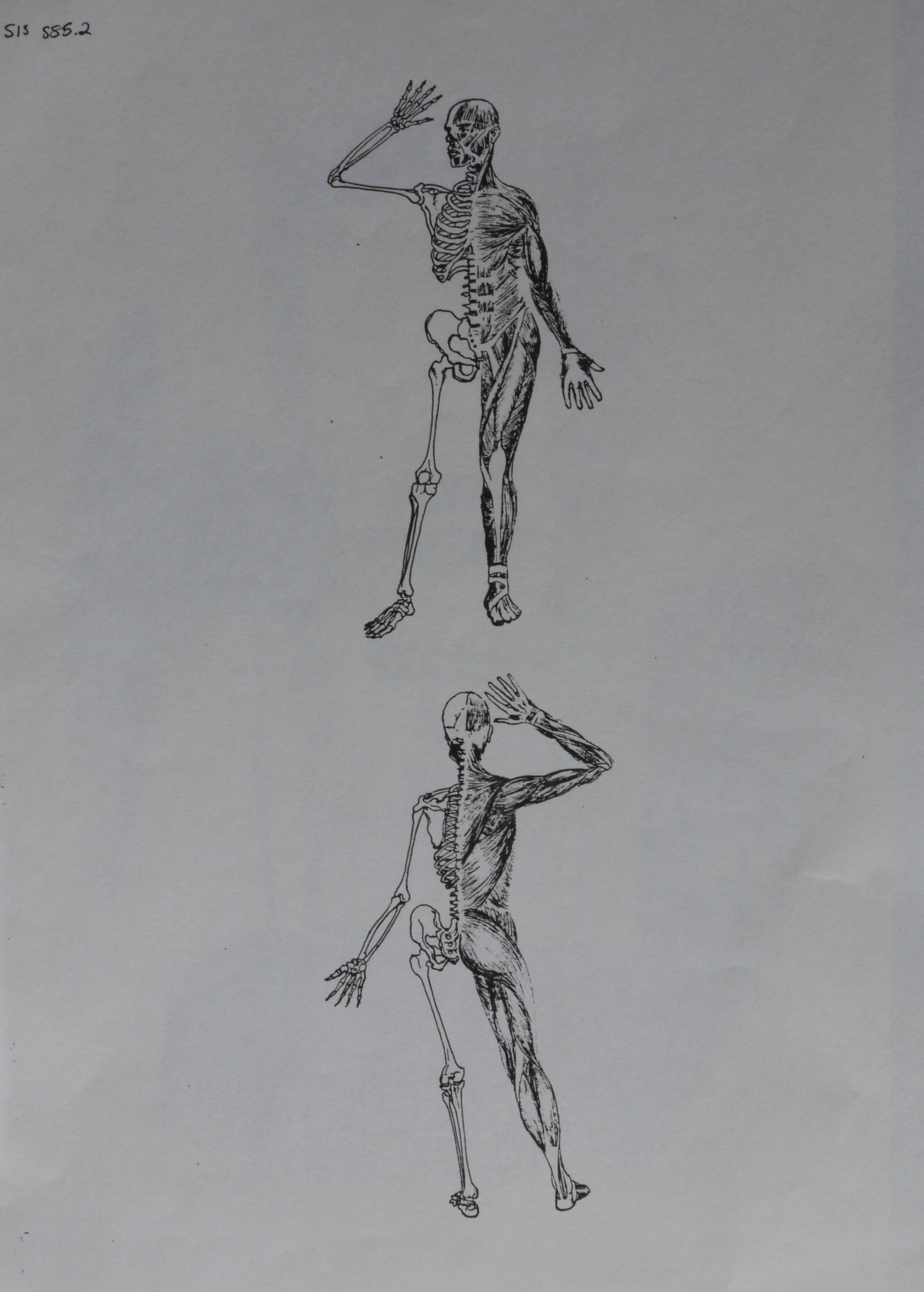 Sample E.JPG