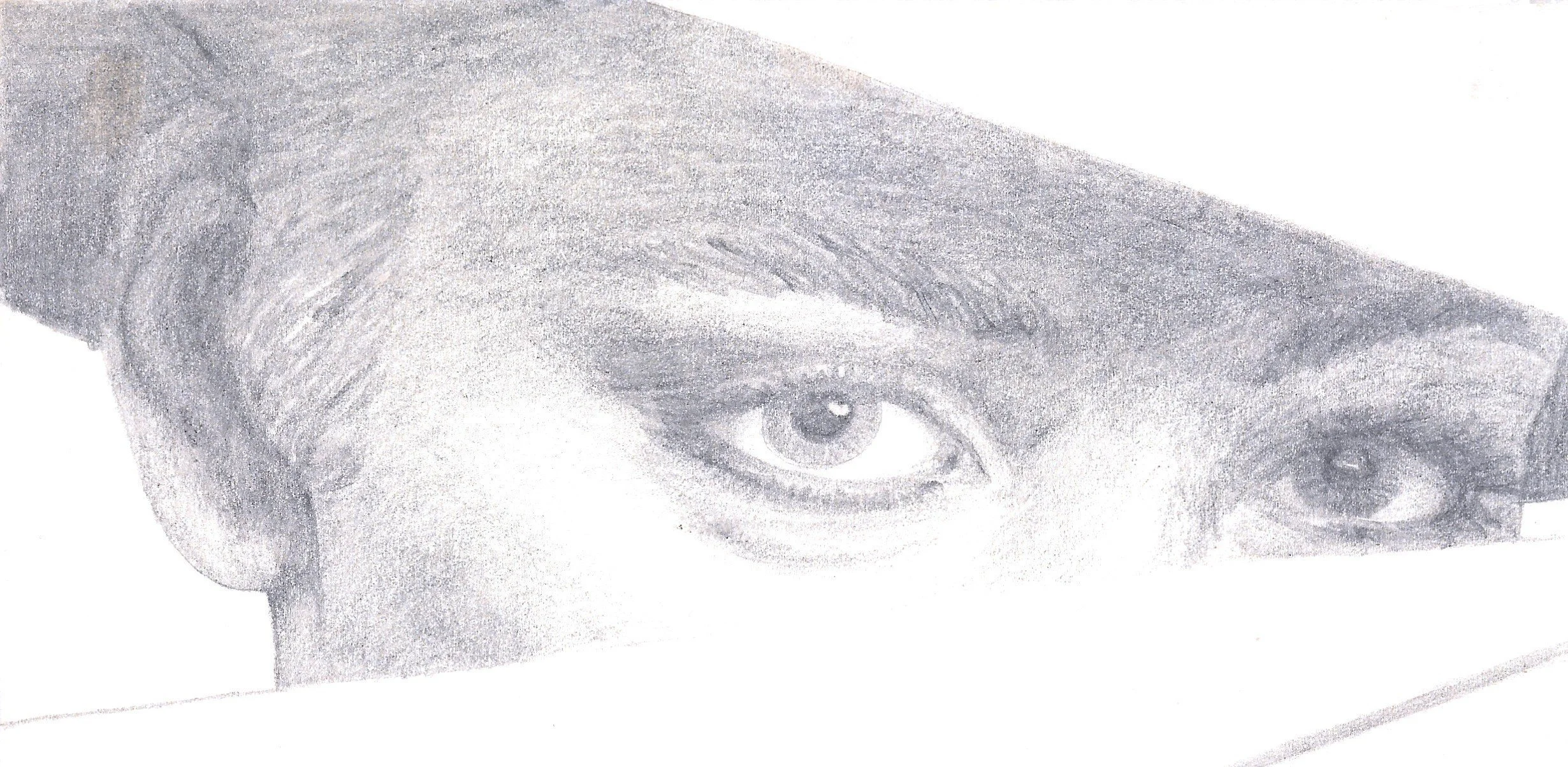 Robin Seavill - Various - Advert, 1978