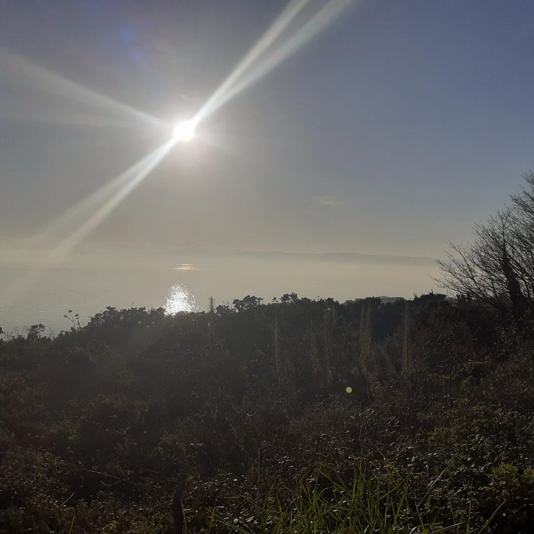 Howth, Dublin.  Winter 2020.