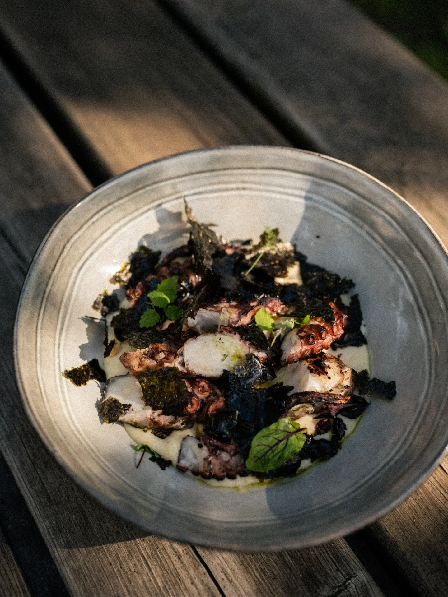 Non ci piace stare fermi 🏃🏽
Il nostro men&ugrave; cambia spesso, con piatti freschi e originali

Polpo / mousseline di patata / pil pil / nocciole

#porto11 #loungeandbustrot #restaurant