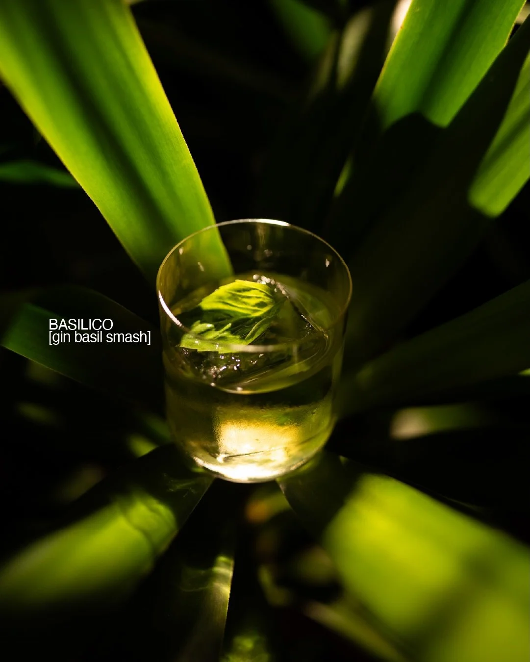 This time, basil takes the lead from our drink list 

BASILICO
[gin basil smash]
balsamic, lemony, fresh

KI NO BI Kyoto Gin + menta + lime kaffir + lemongrass + Chartreuse verde