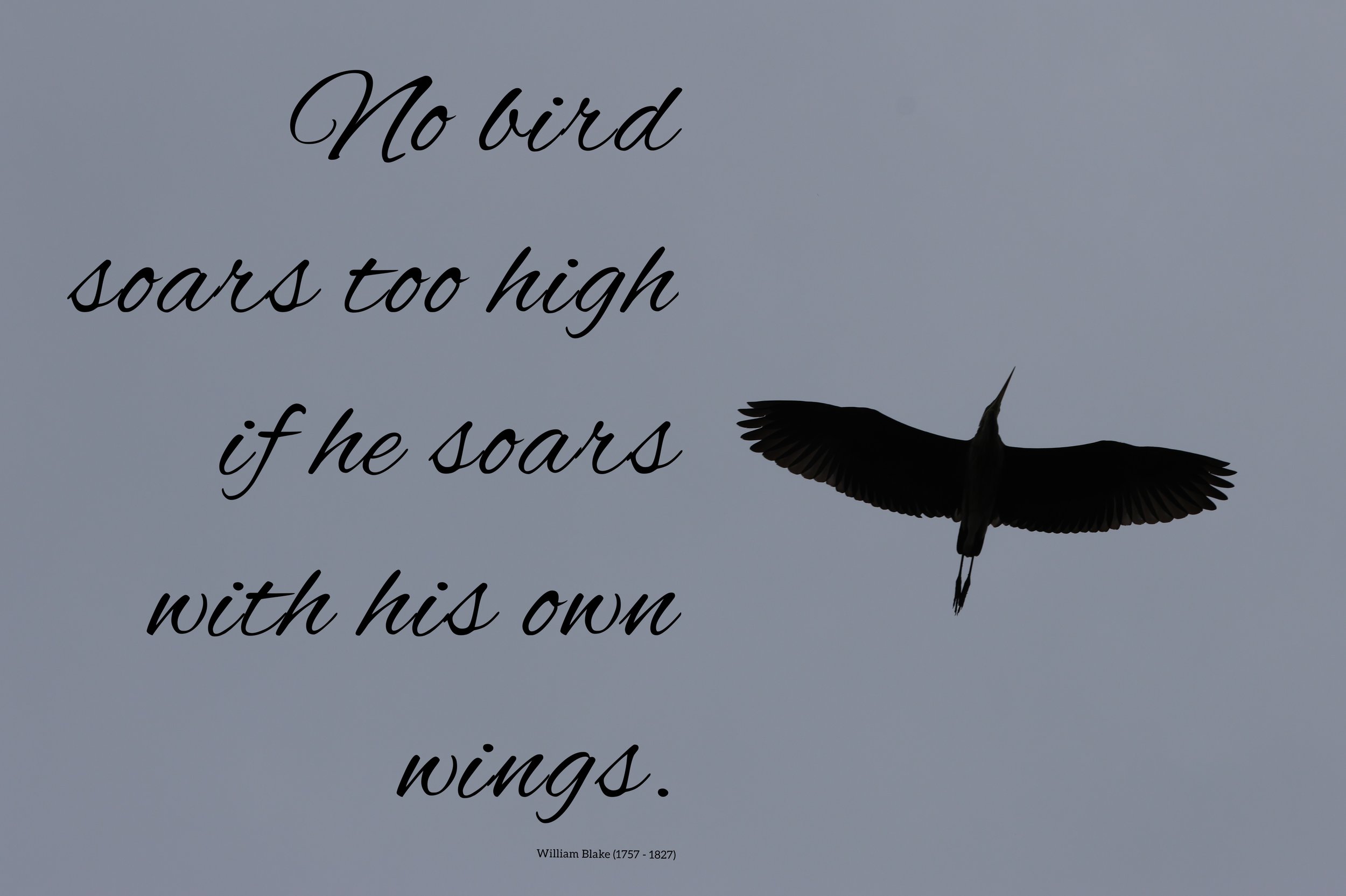 Flying high