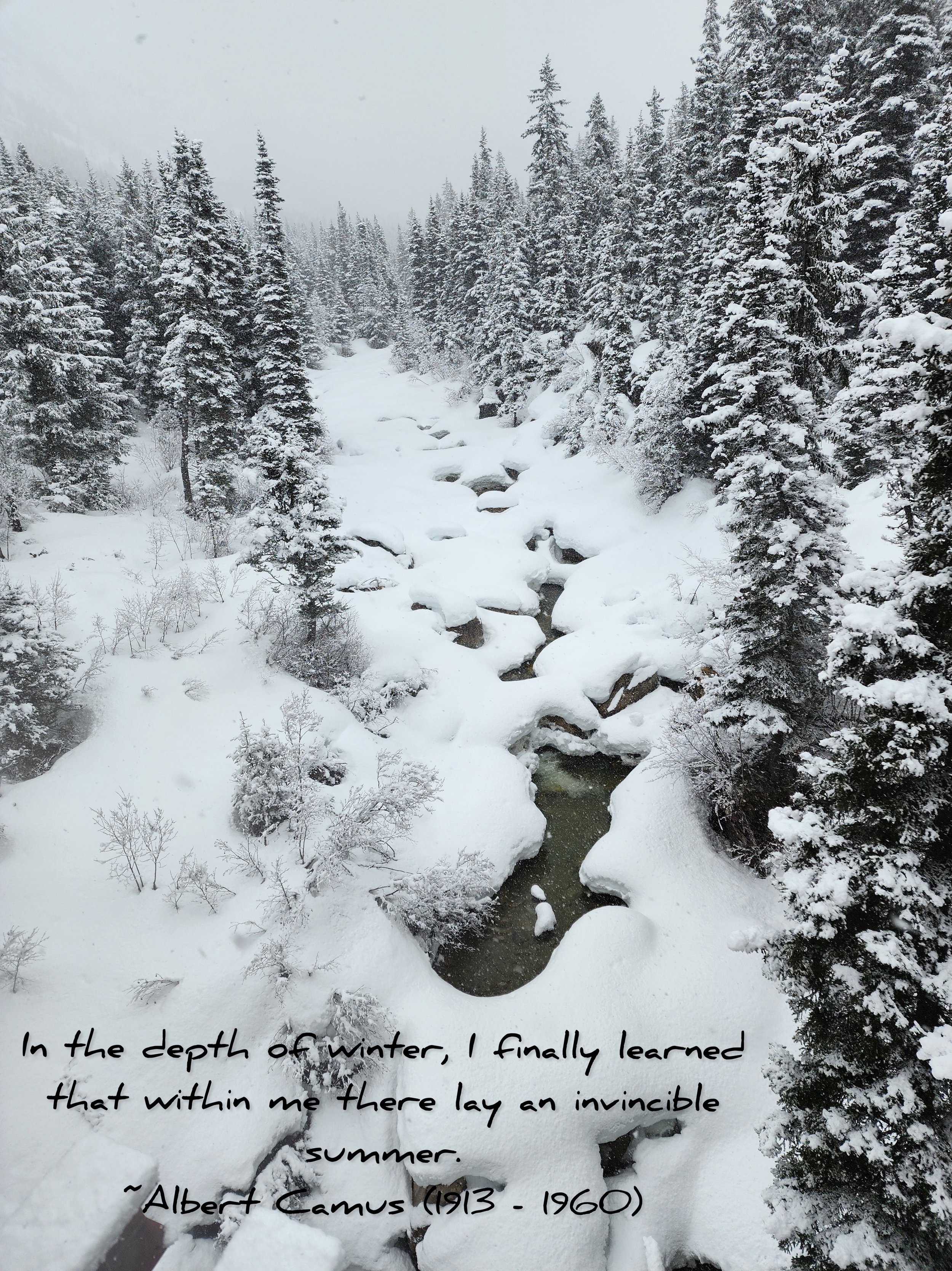 Winter.jpeg
