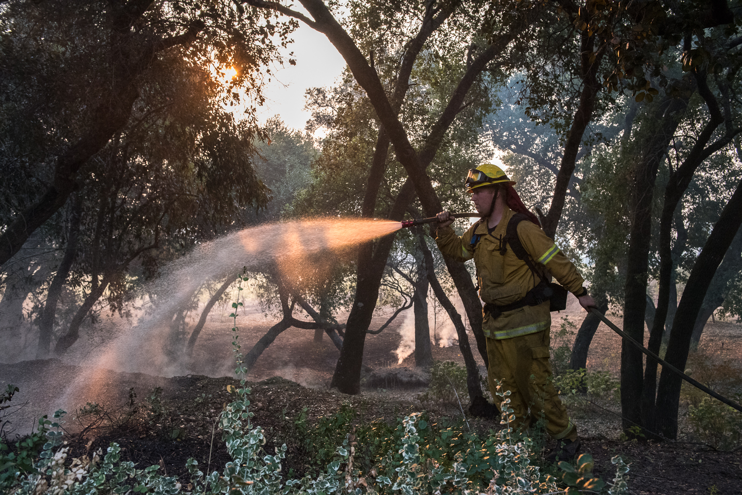  Firefighter Jake McClendon, of Rancho Adobe, works to protect a home on Castle Road just two miles from Sonoma town center, as the sun rises on Saturday, 14 October 2017. 