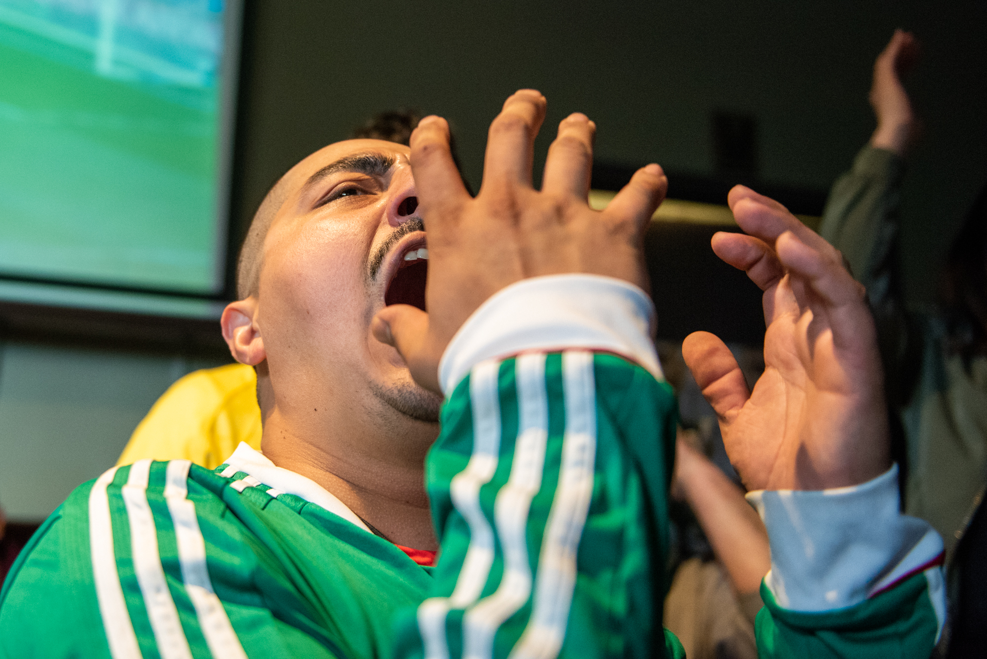  Angel Olascoaga reacts to a near-miss by the Mexican team during their World Cup game against Germany on Sunday, June 17, 2018. | Rosa Furneaux, Special To The Chronicle 