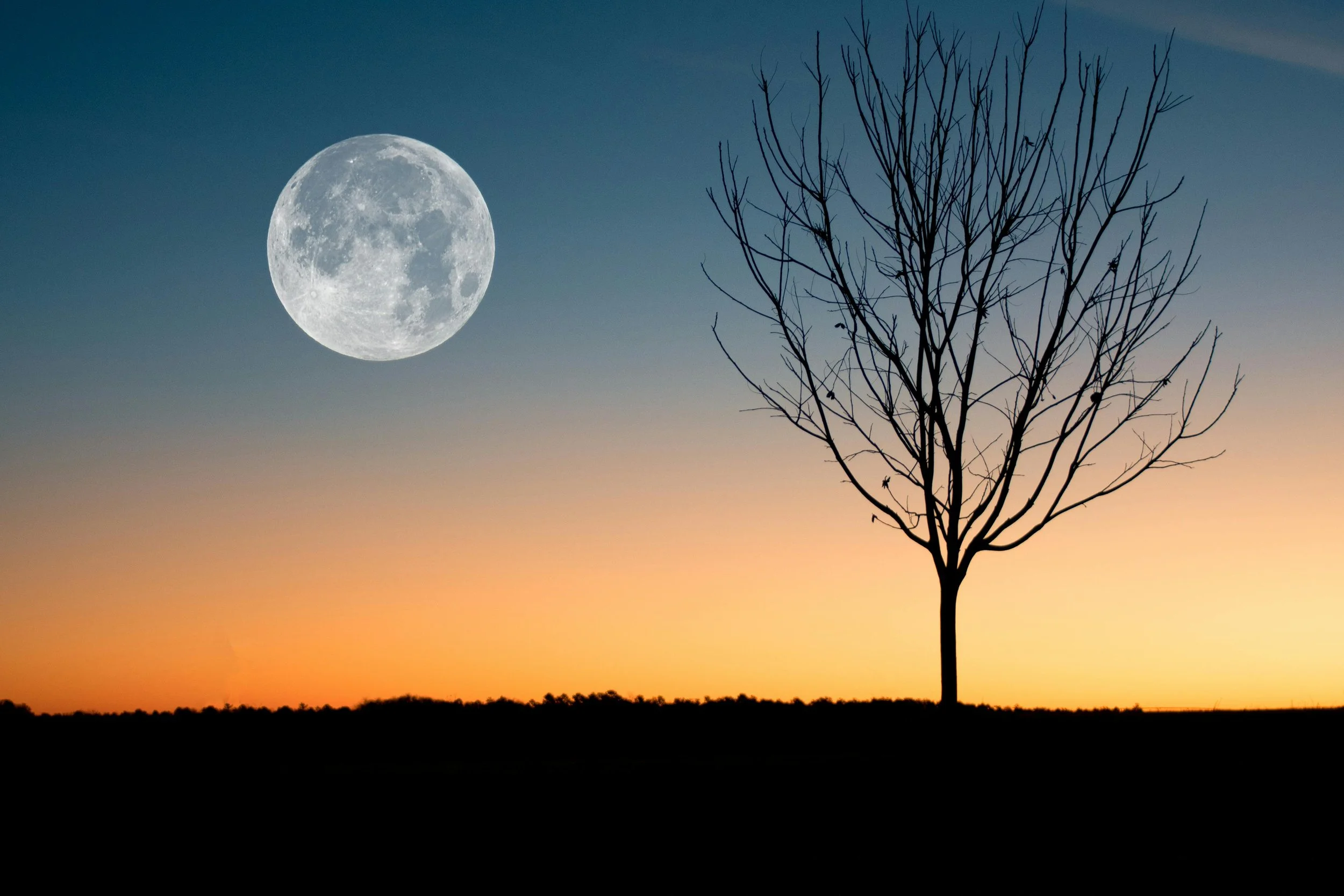 The Beaver Moon Full Moon Circle with Annie