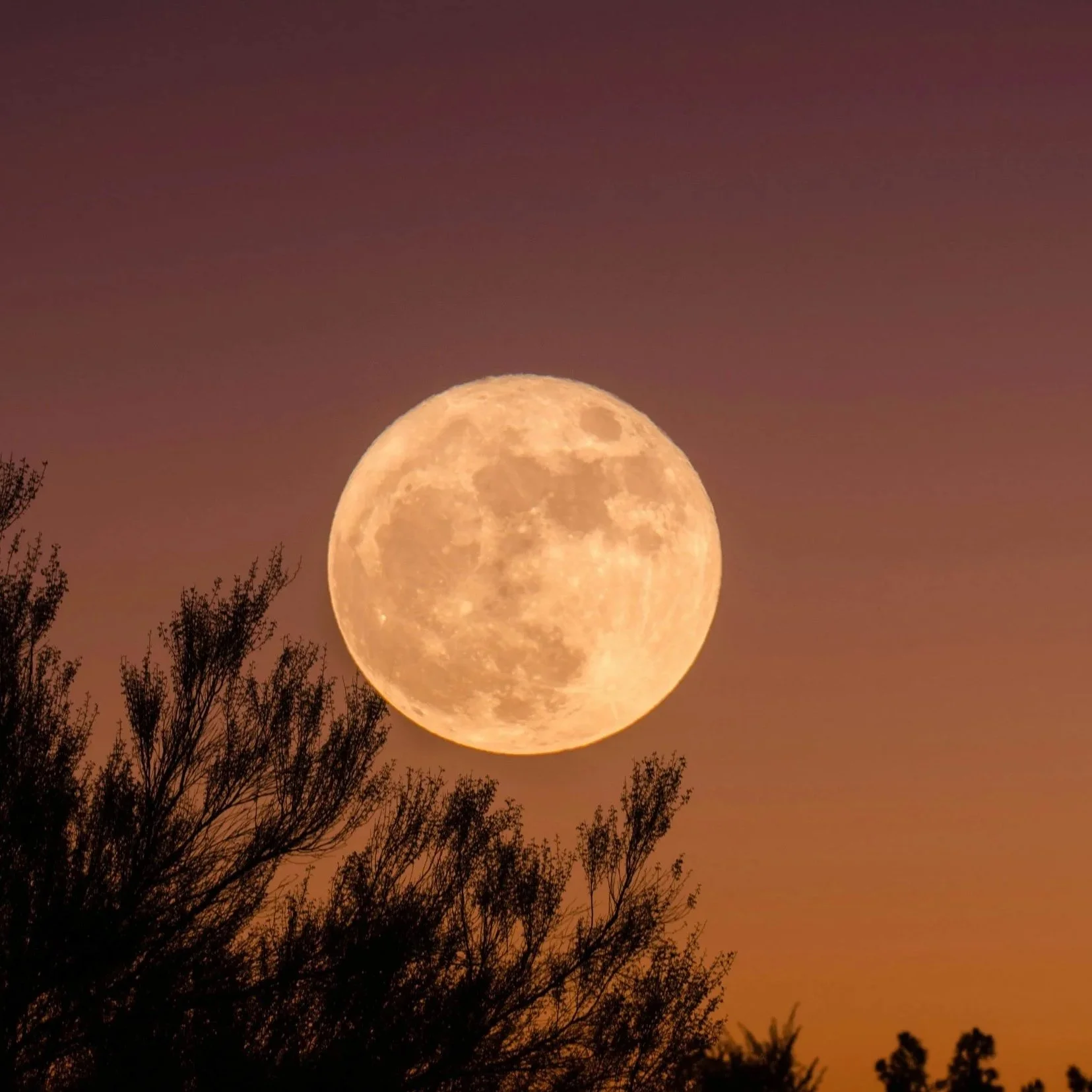 Full Harvest Moon Circle with Annie