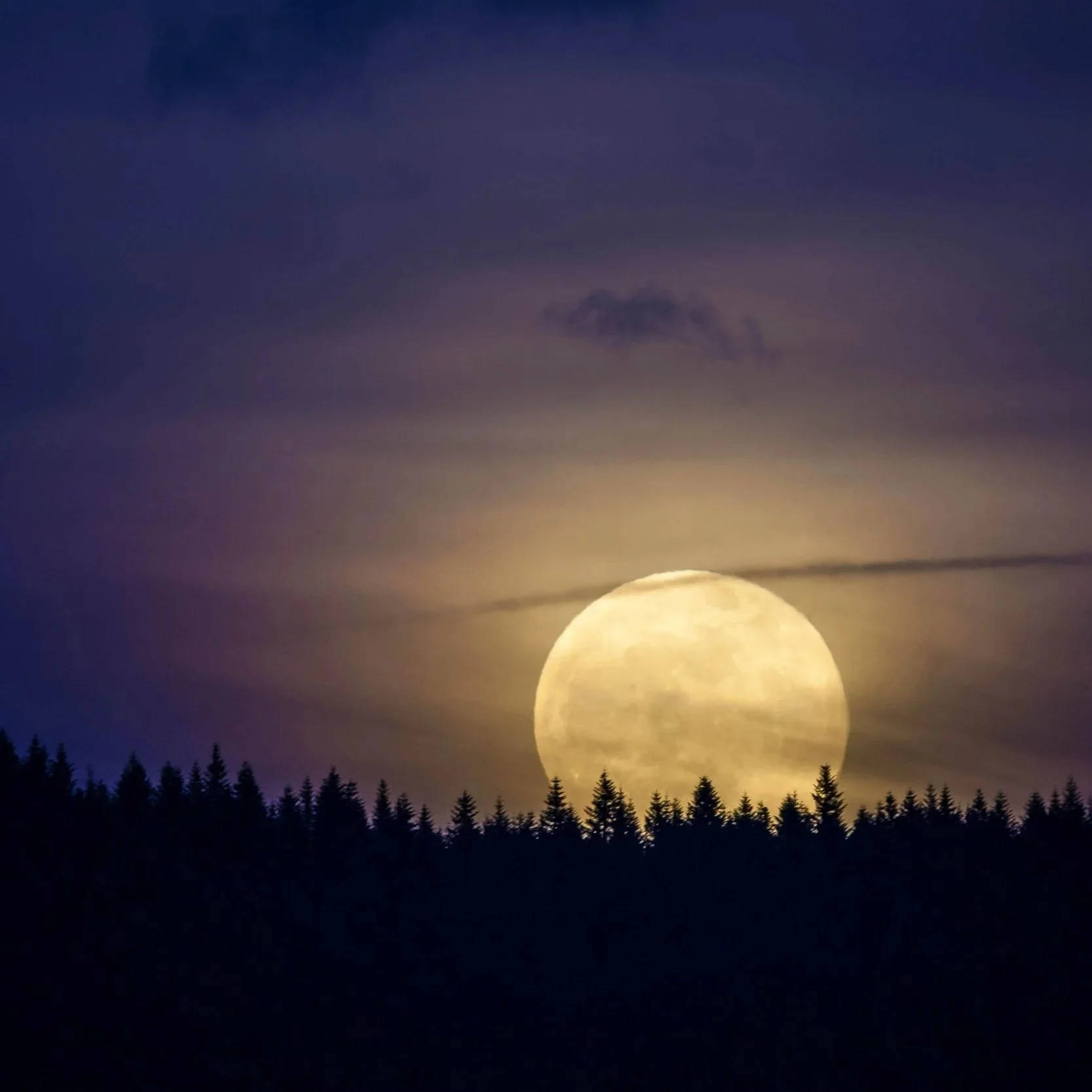 Full Hunter Moon Circle with Annie