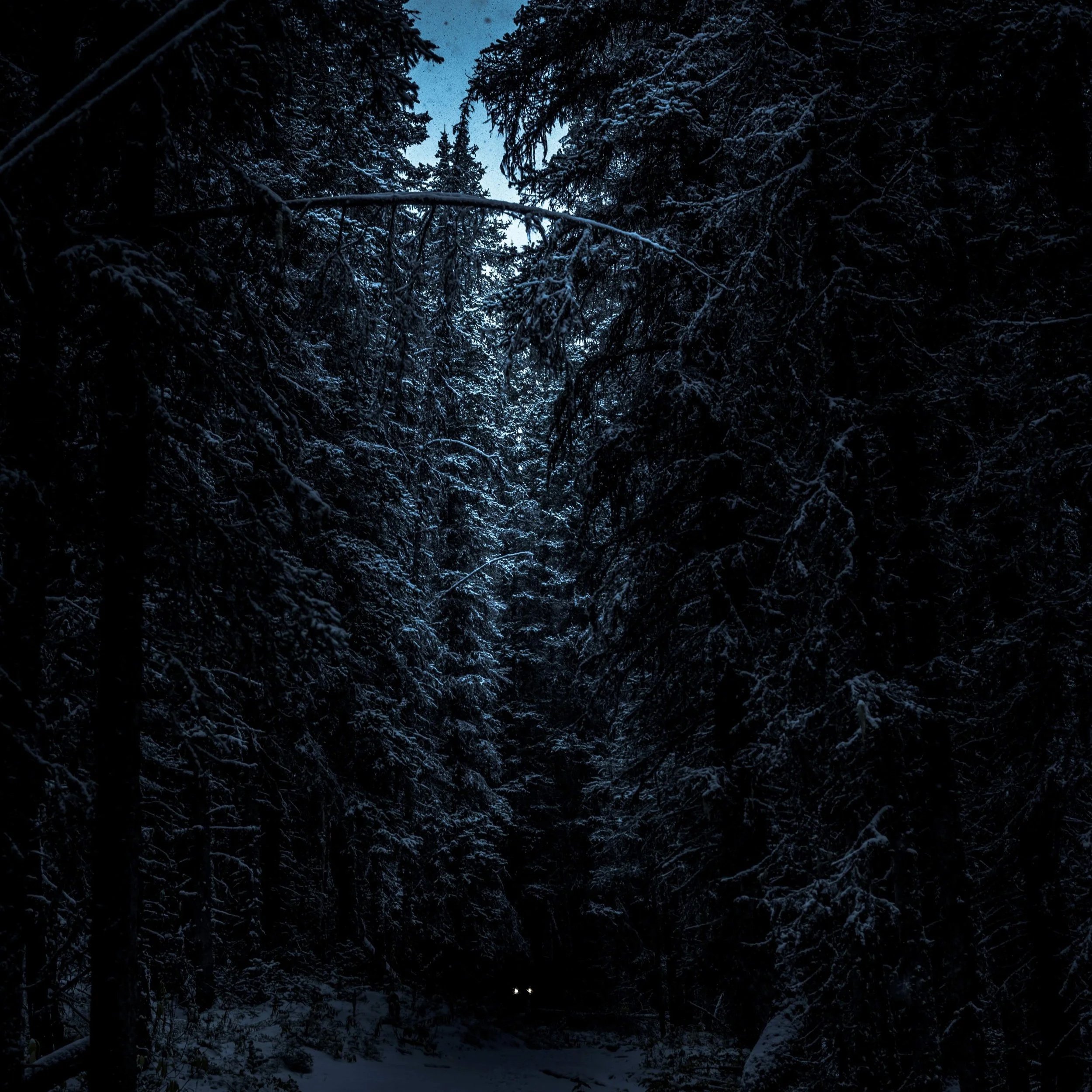 New Snow Moon Circle with Annie