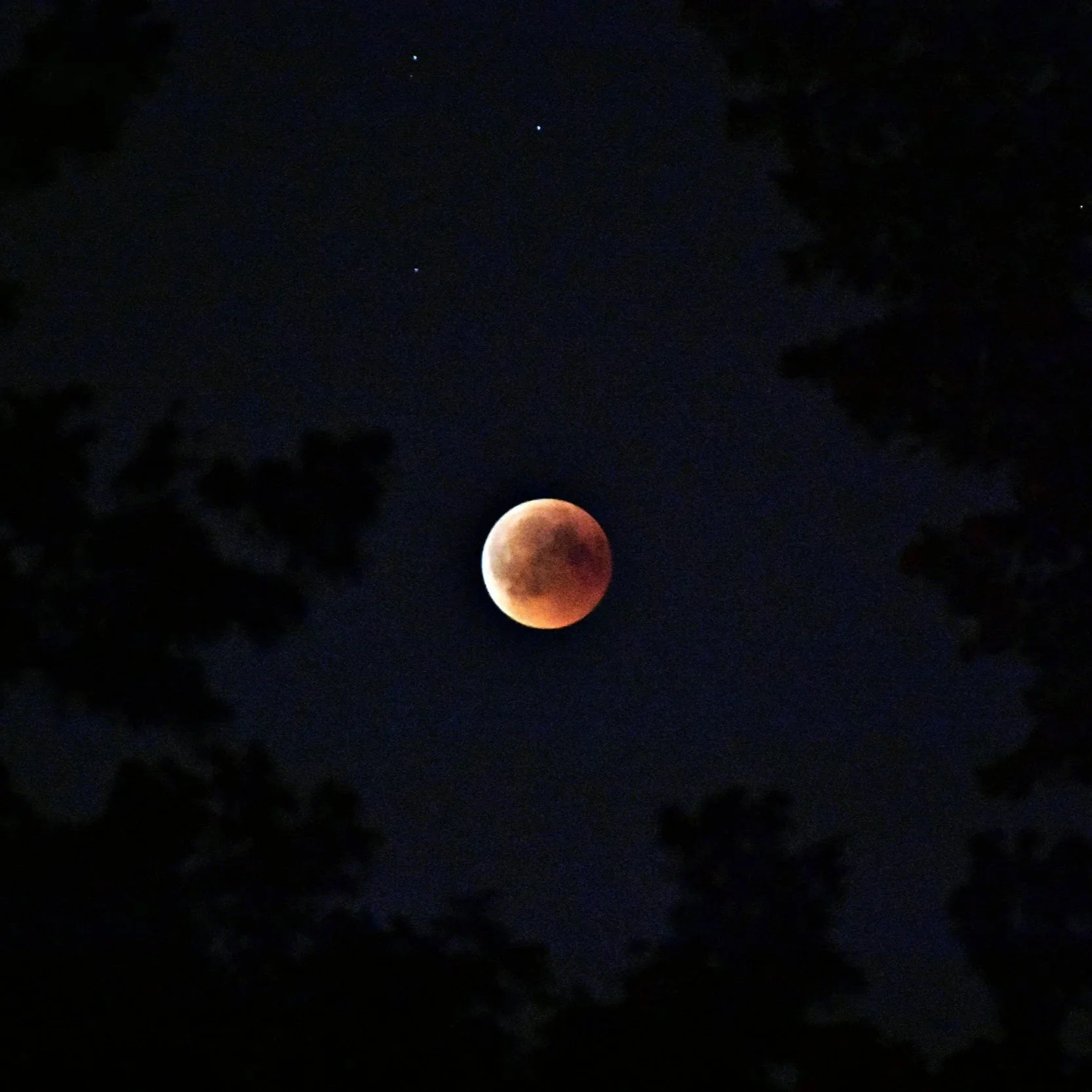 Full Worm Moon Circle with Annie