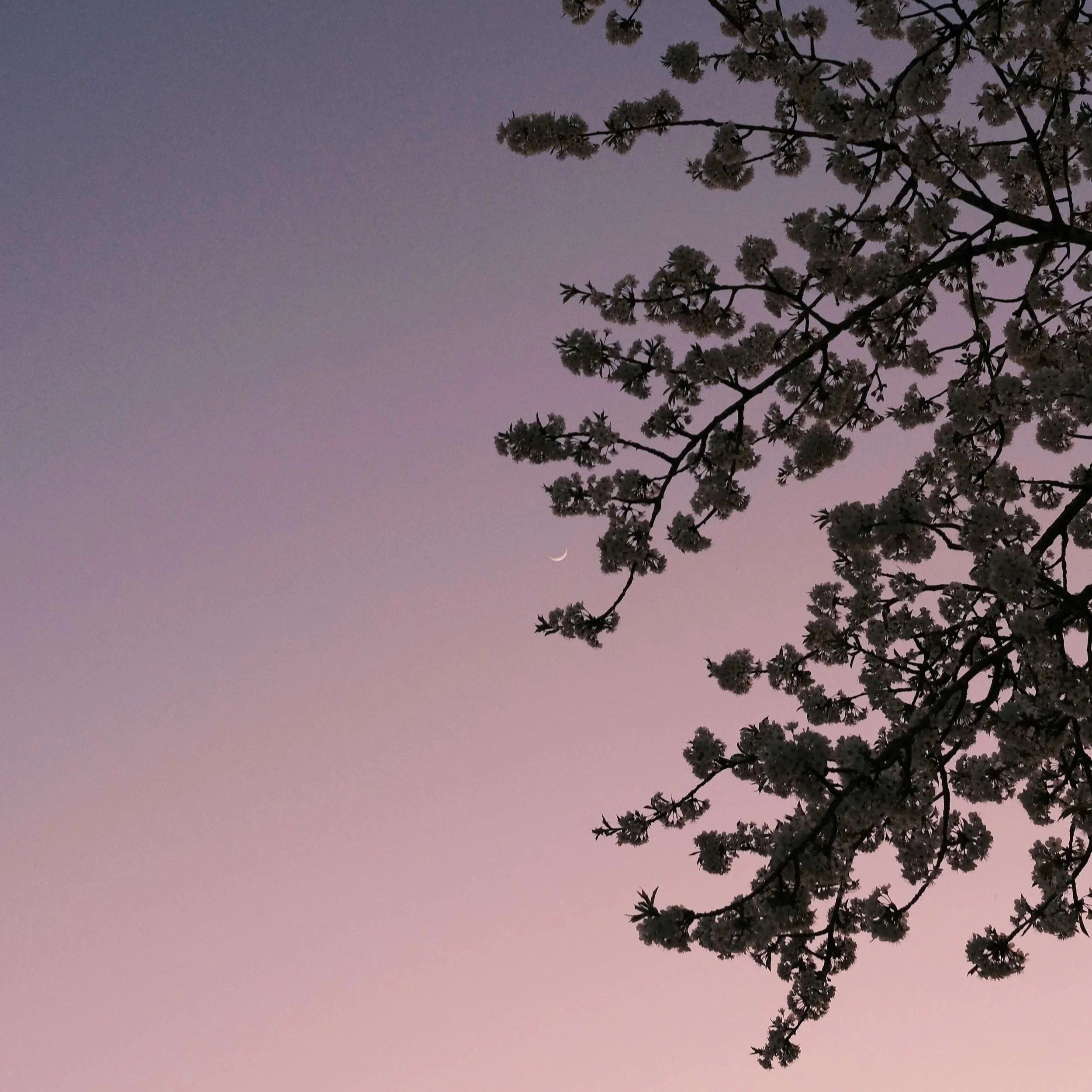 New Blue Moon Circle with Annie