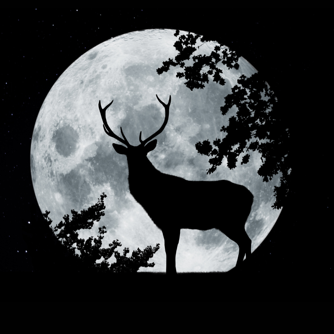 Full Buck Moon Circle
