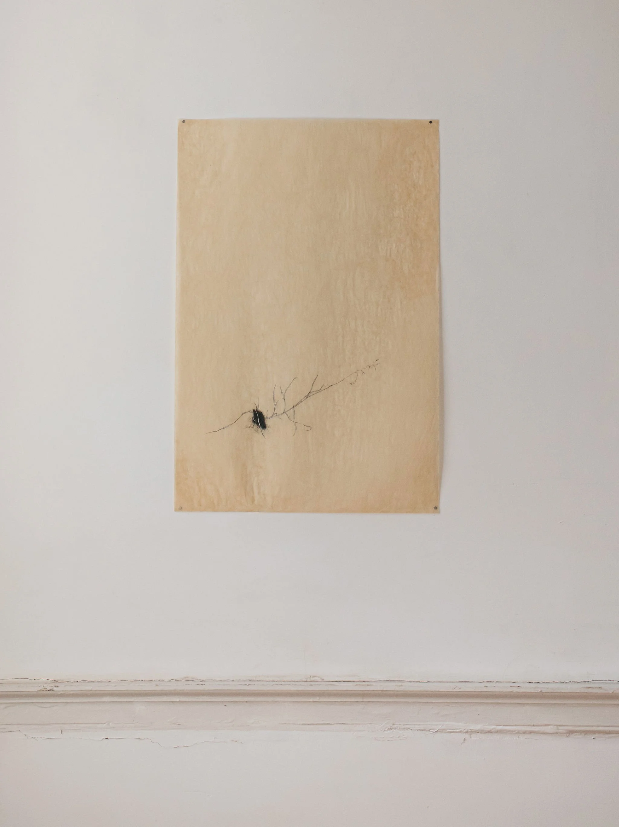 Haarlem_Artspace_Necrology-0065.jpg