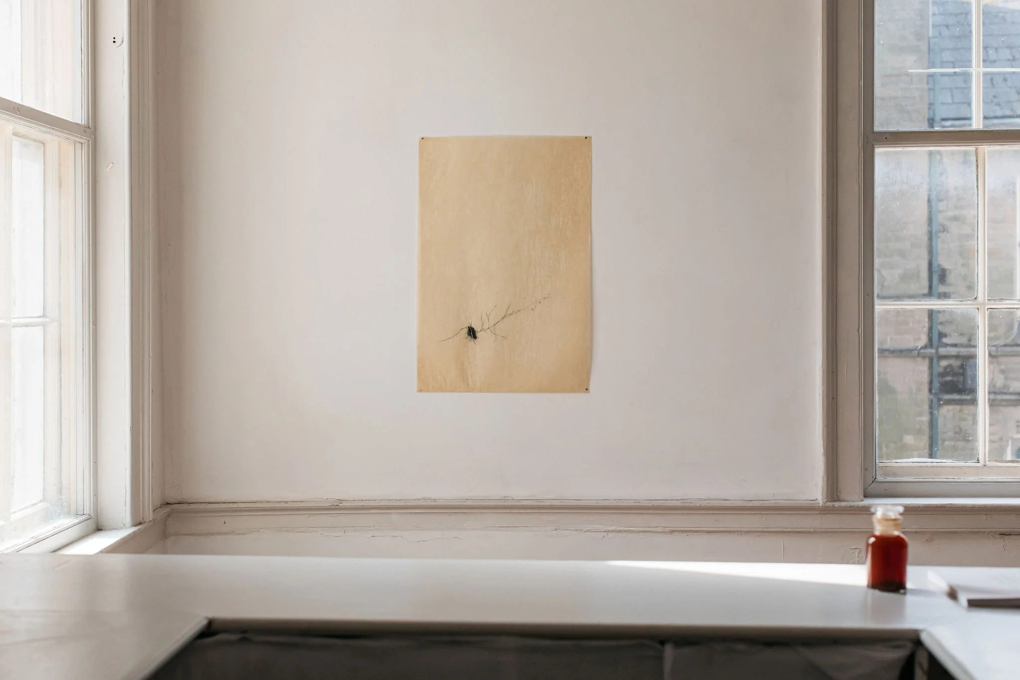 Haarlem_Artspace_Necrology-0063.jpg