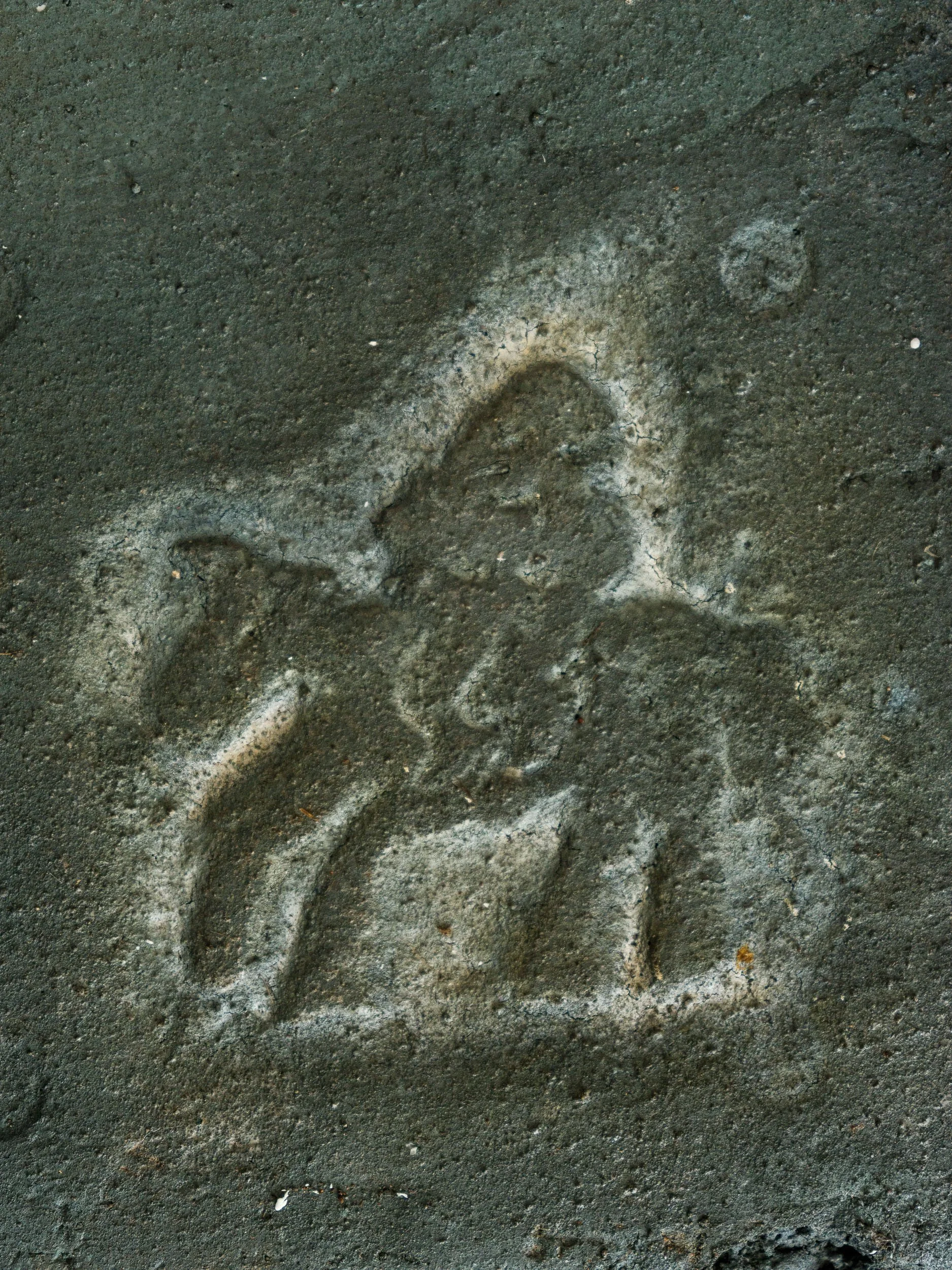 DSCF3713.jpg