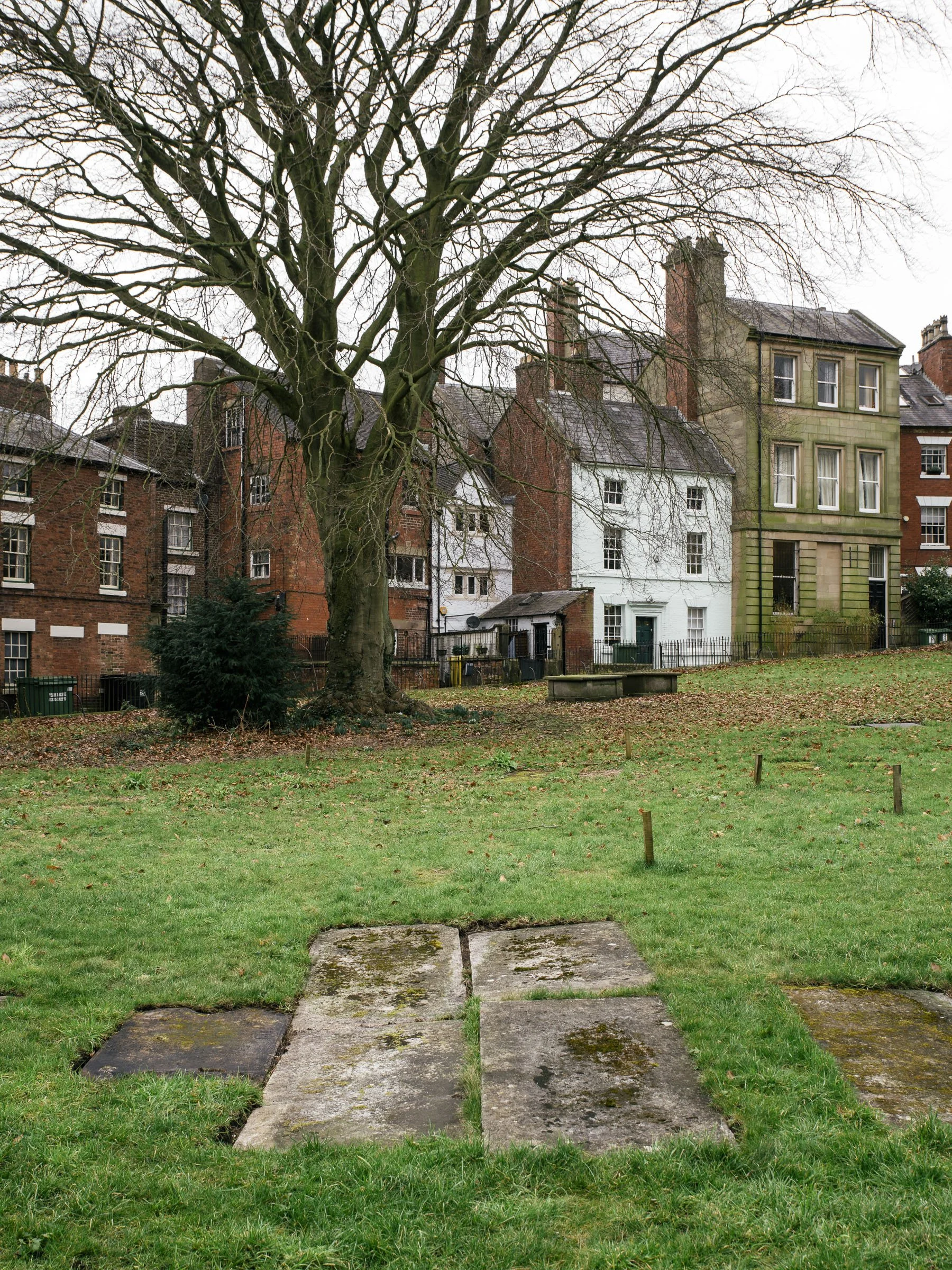 IMGP3443.jpg