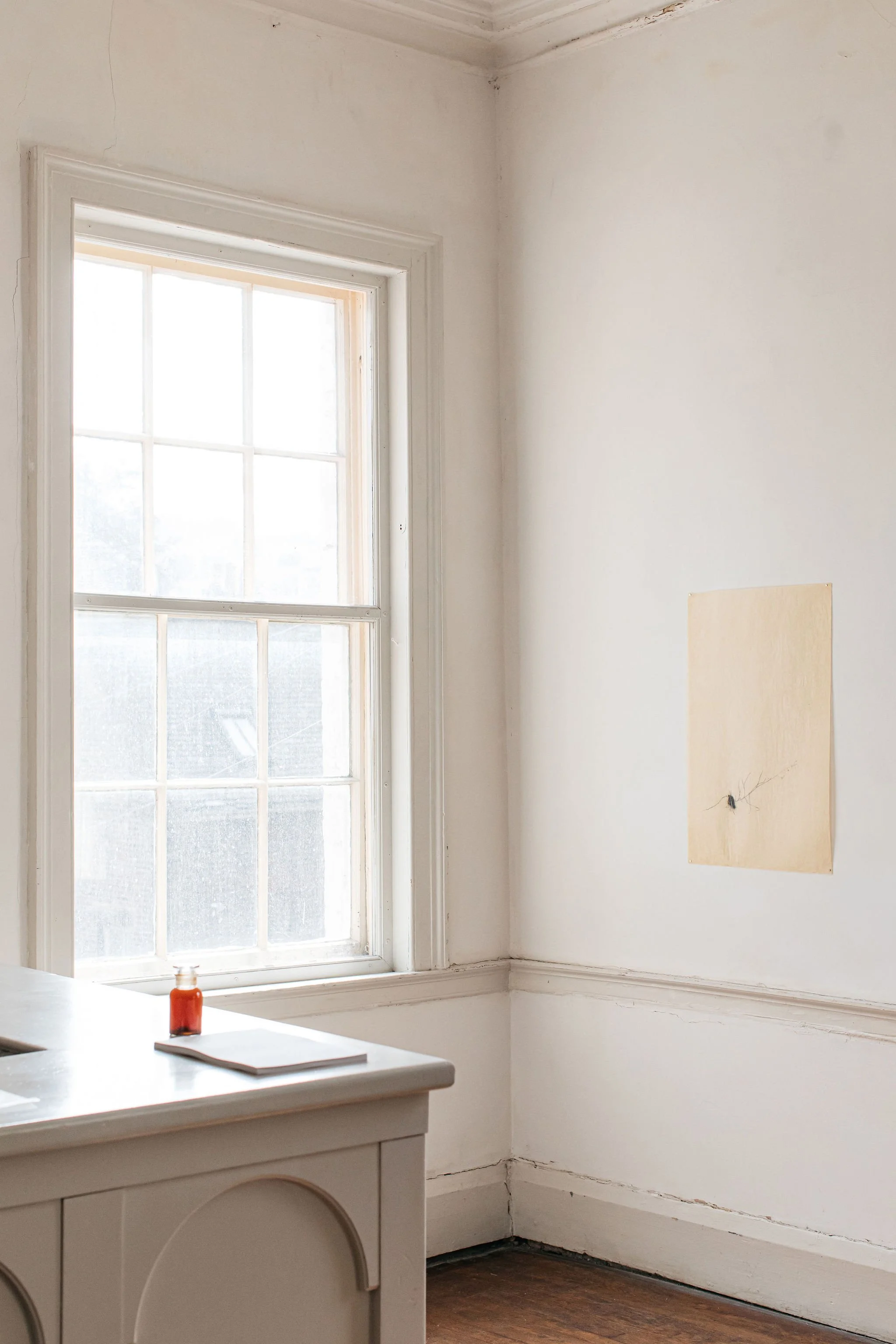 Haarlem_Artspace_Necrology-0073.jpg