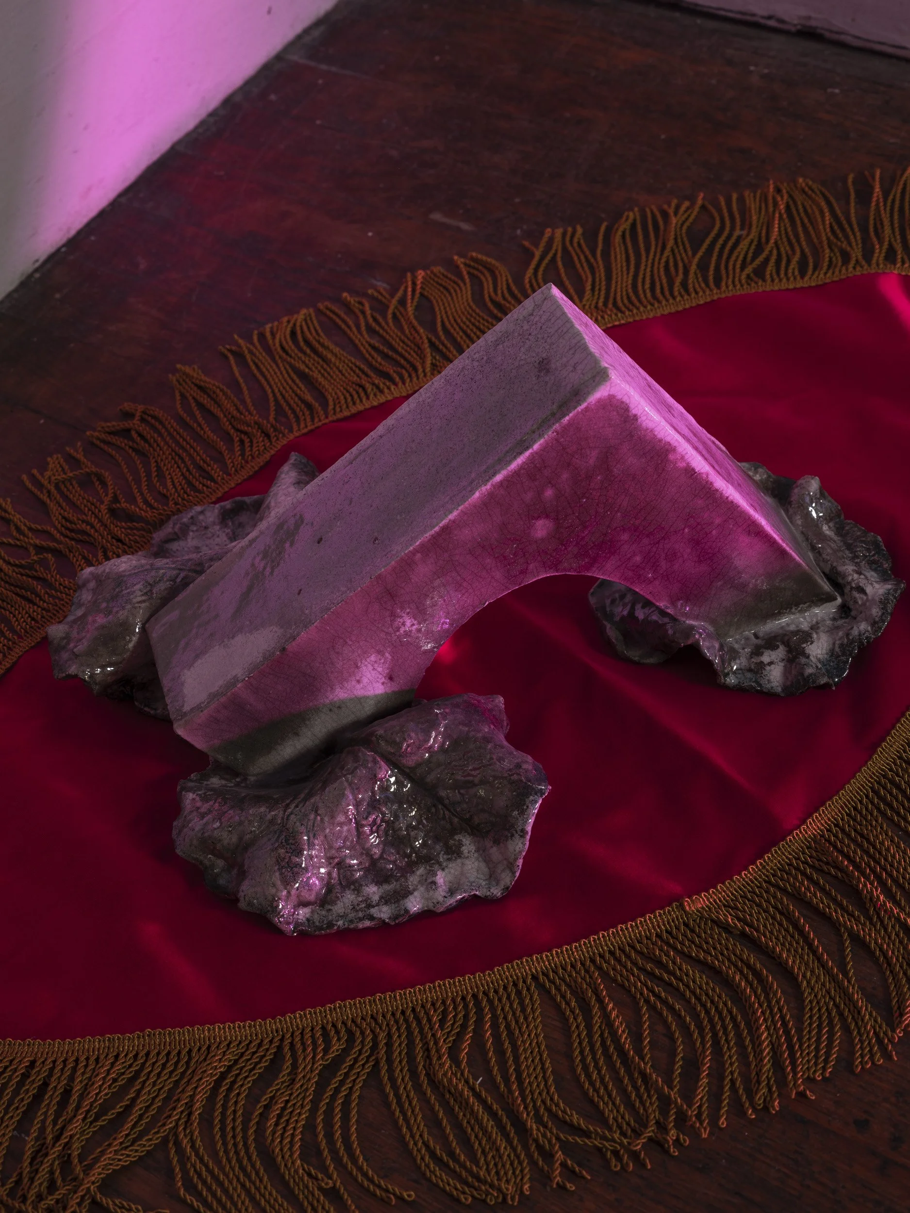 DSCF8818.jpg