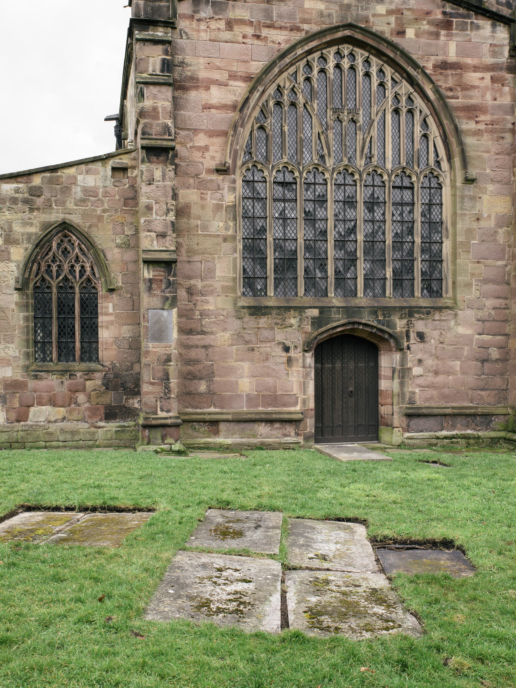 IMGP3445.jpg