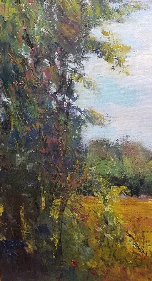 View from the Studio - 2021