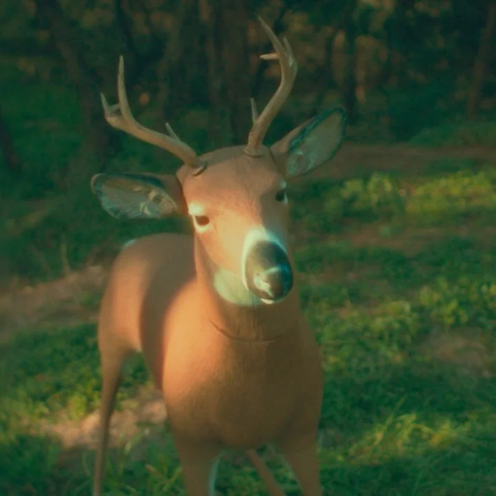 It&rsquo;s a dope ass day when you hire the @thebobbilliams team! 📹🖼️📺🦌

(swipe to see some of our creative process - from storyboard to behind the scenes of production - to final edit - of a recent brand film!)

Written and directed by: @keyleem