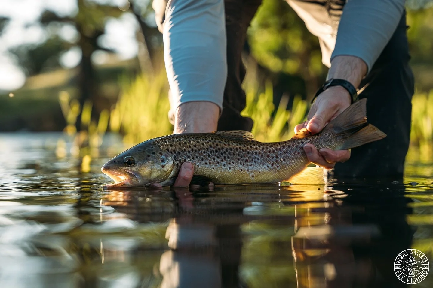 Thank you all for the incredible support this season! December is now fully booked with both murray cod and trout trips locked in - it&rsquo;s shaping up to be an epic month on the water. 

If you&rsquo;re still keen to join, feel free to express you