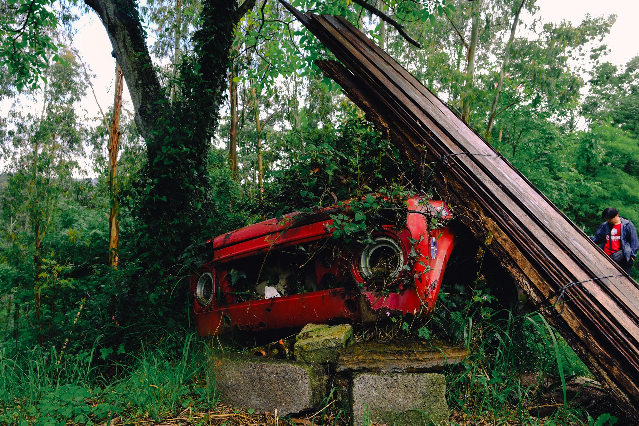 DSCF9850.jpg
