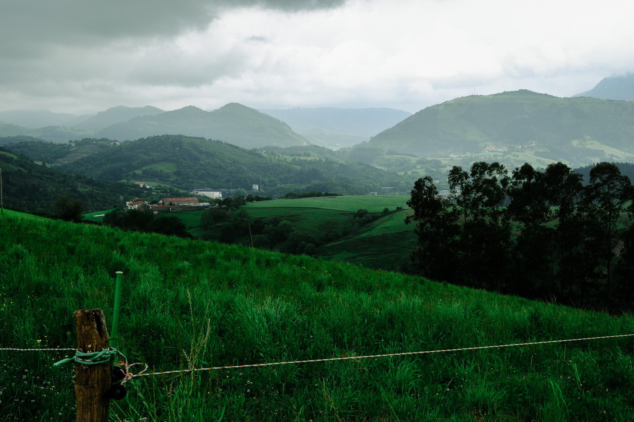 DSCF9488.jpg