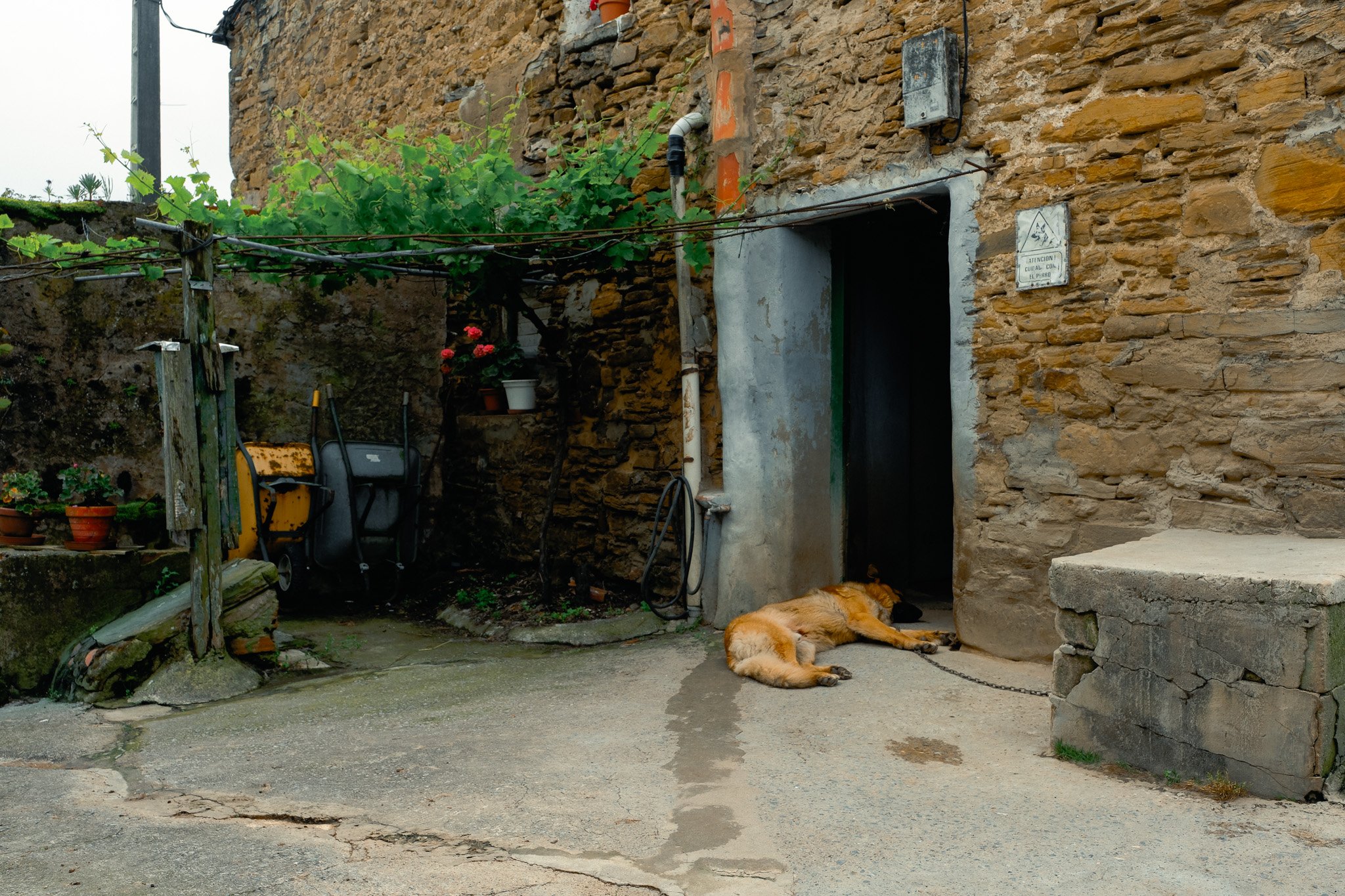DSCF9498.jpg