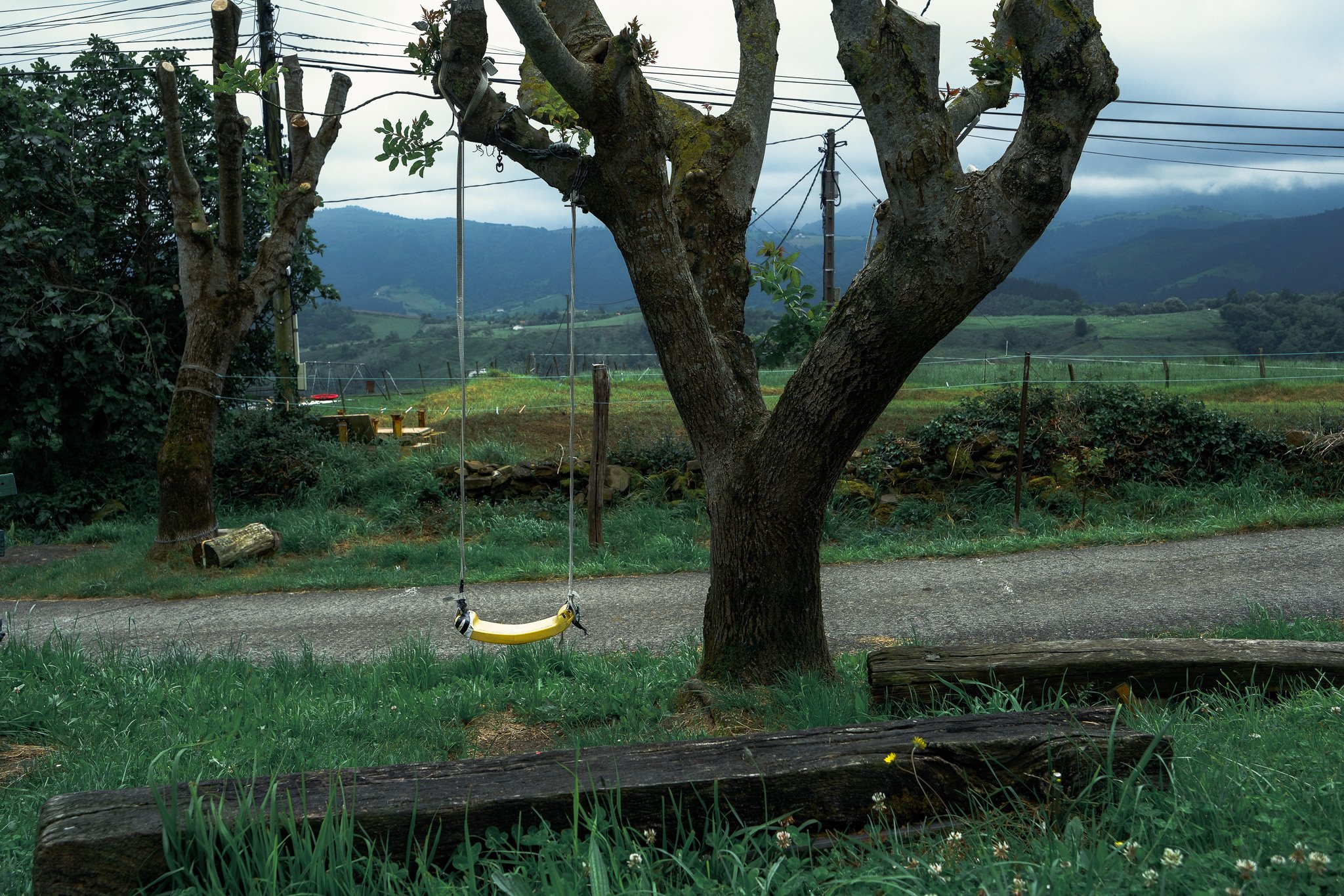 DSCF9499.jpg