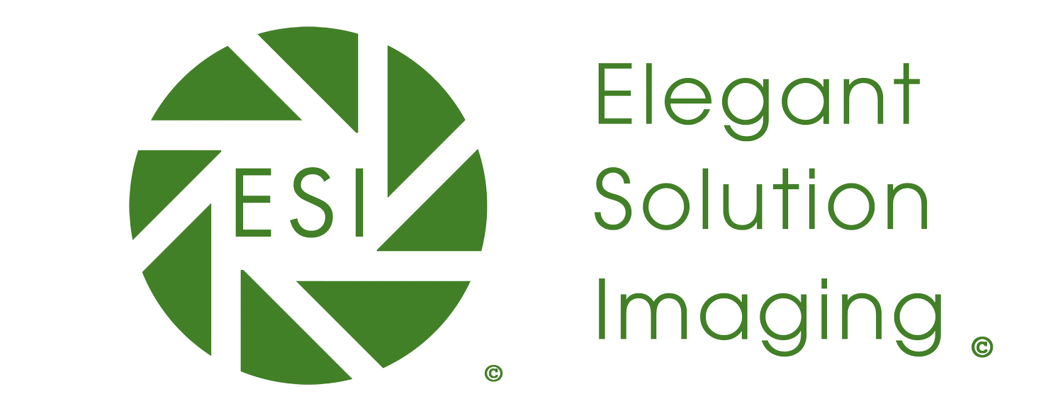 Elegant Solution Imaging LLC