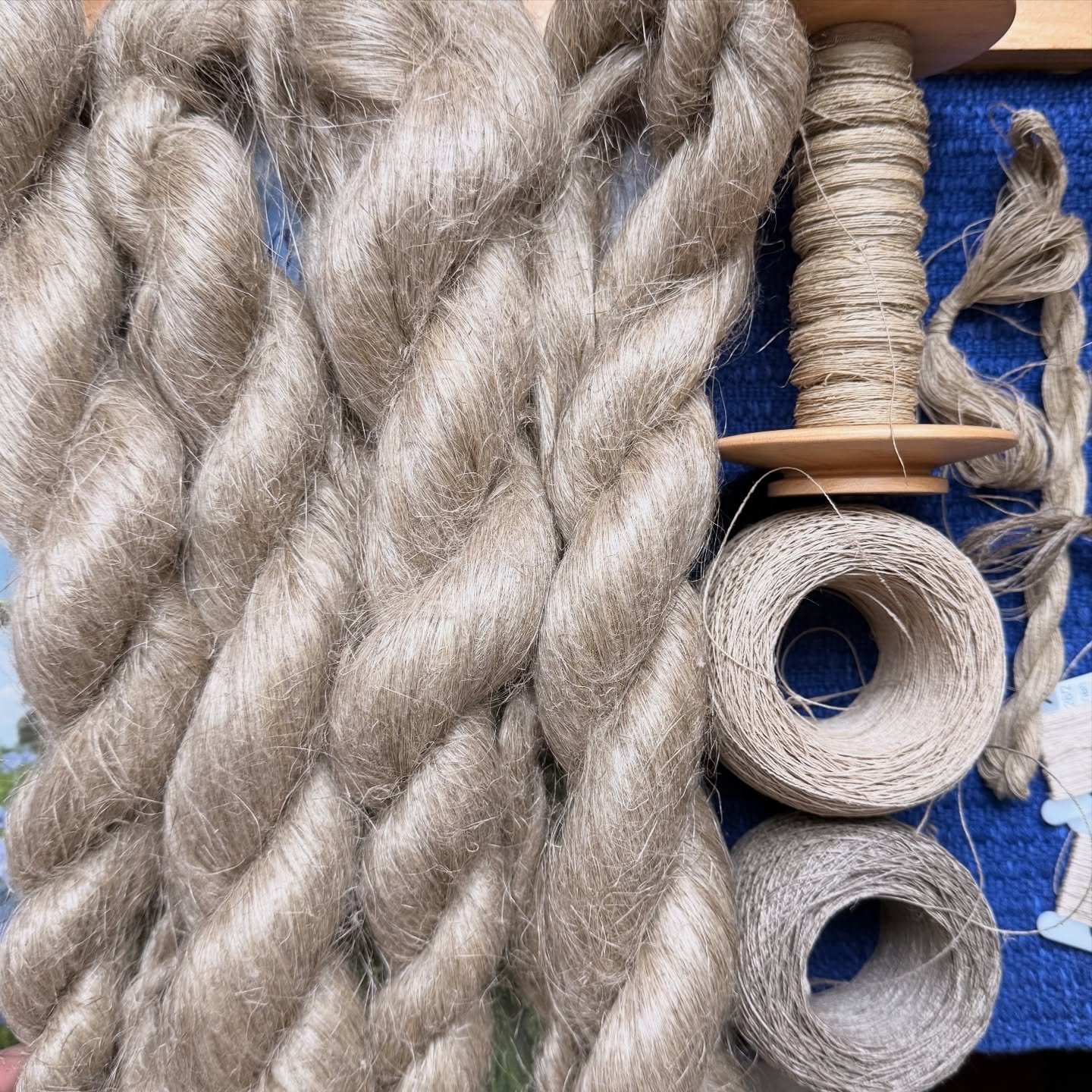 I picked up my flax strick for the Living Lineage project for @threeriversfibershed @weaversguildmn. Thanks to @natalie.claire.shekey for the beautiful fiber. I cannot wait to transform it. 🥰