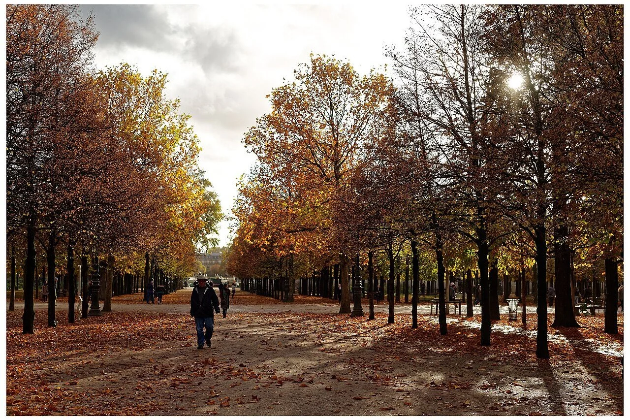 Que faire à Paris cet automne ? La sélection courte de Joyle