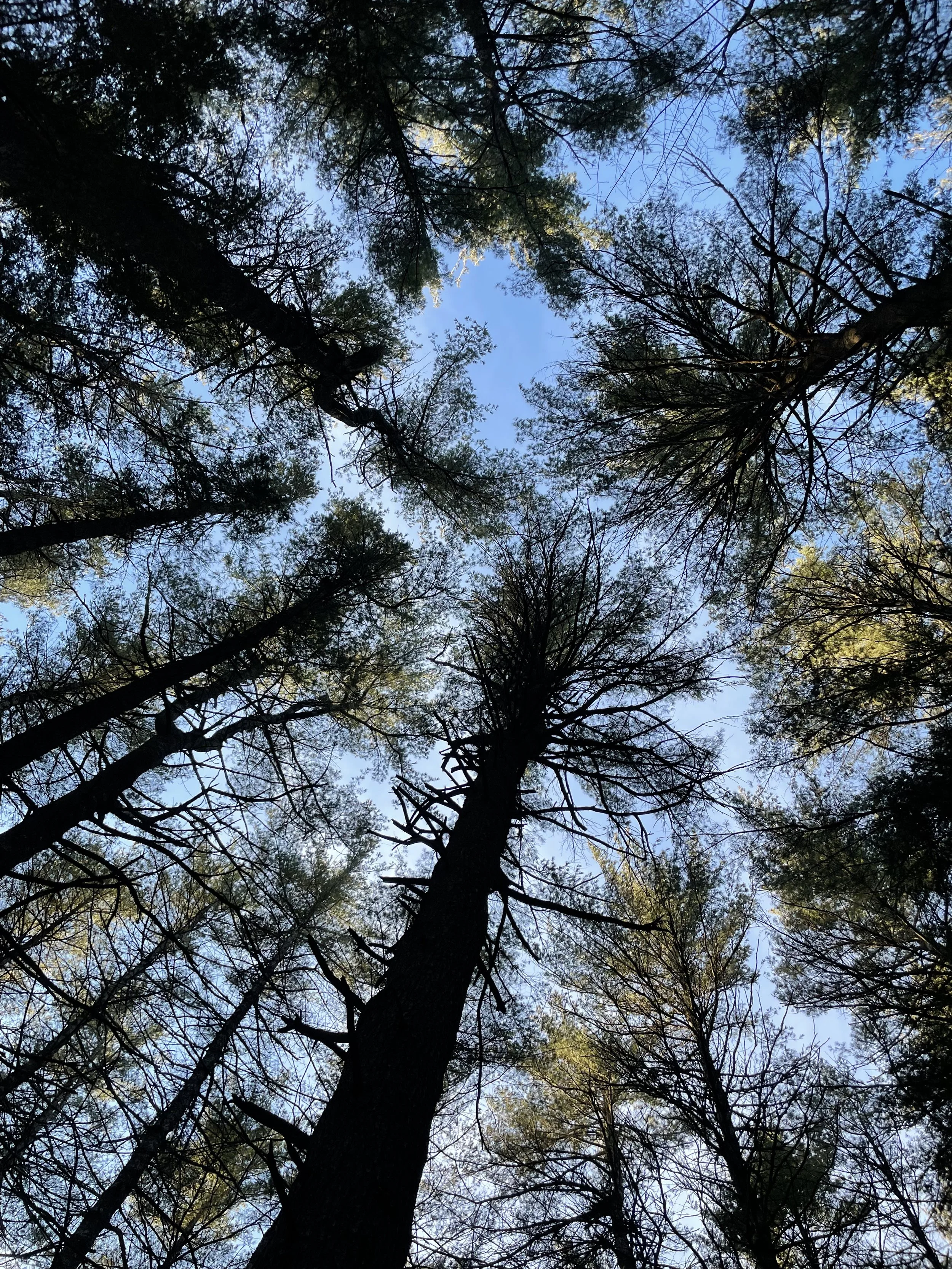 Simsbury, Connecticut