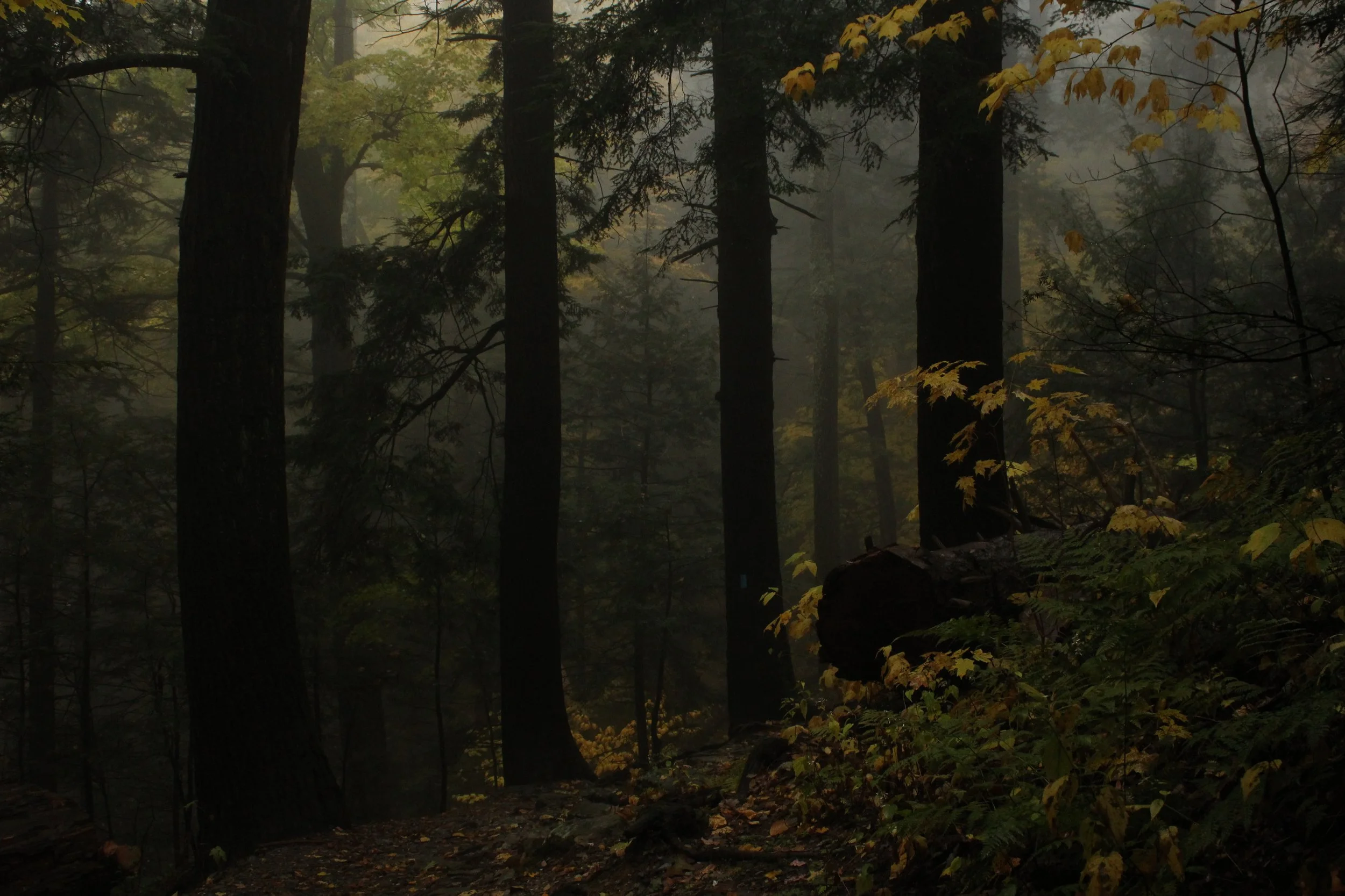 Bash Bish Falls - Massachusetts 
