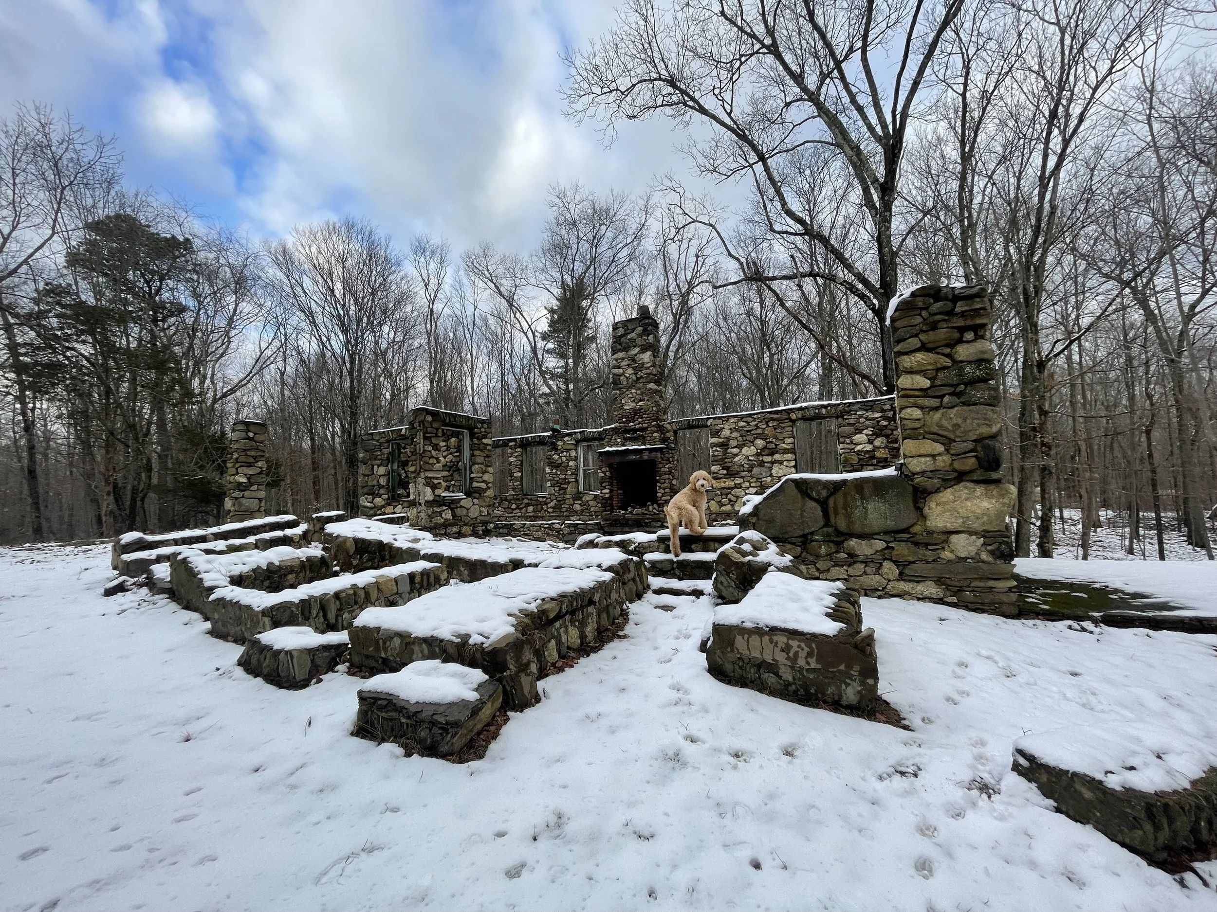 Spiderweed Preserve - Middletown, Connecticut